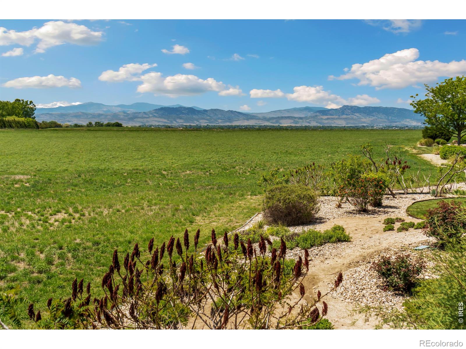 MLS Image #39 for 3701  bald eagle lane,fort collins, Colorado