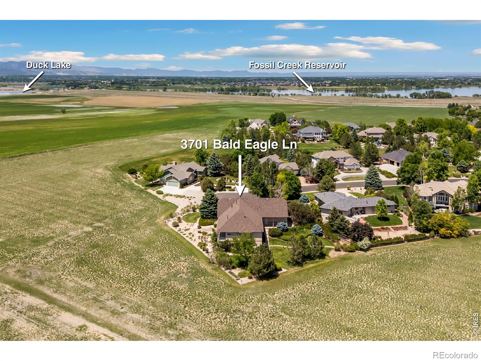 MLS Image #46 for 3701  bald eagle lane,fort collins, Colorado