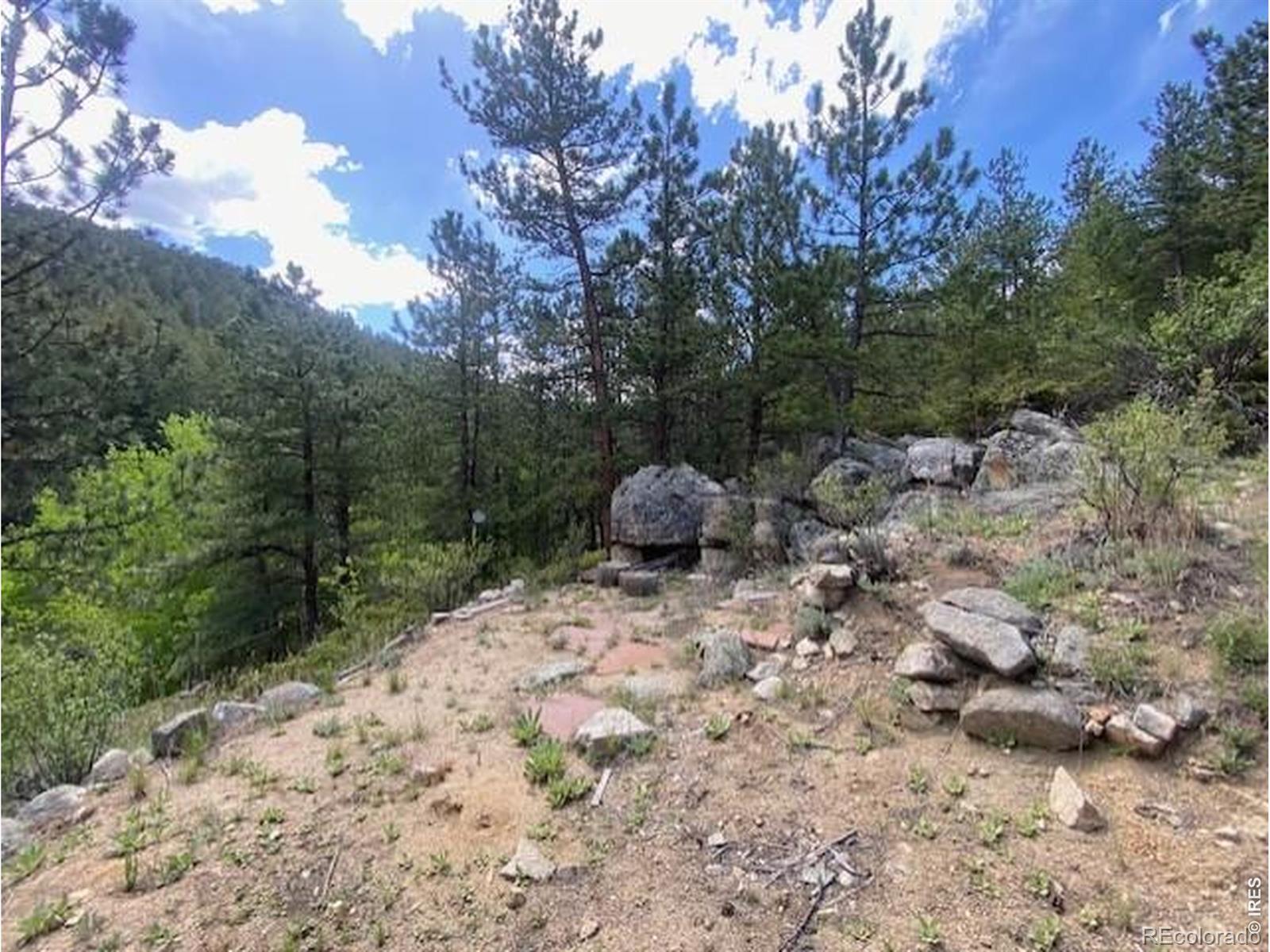 MLS Image #19 for 279  switzerland park road,boulder, Colorado