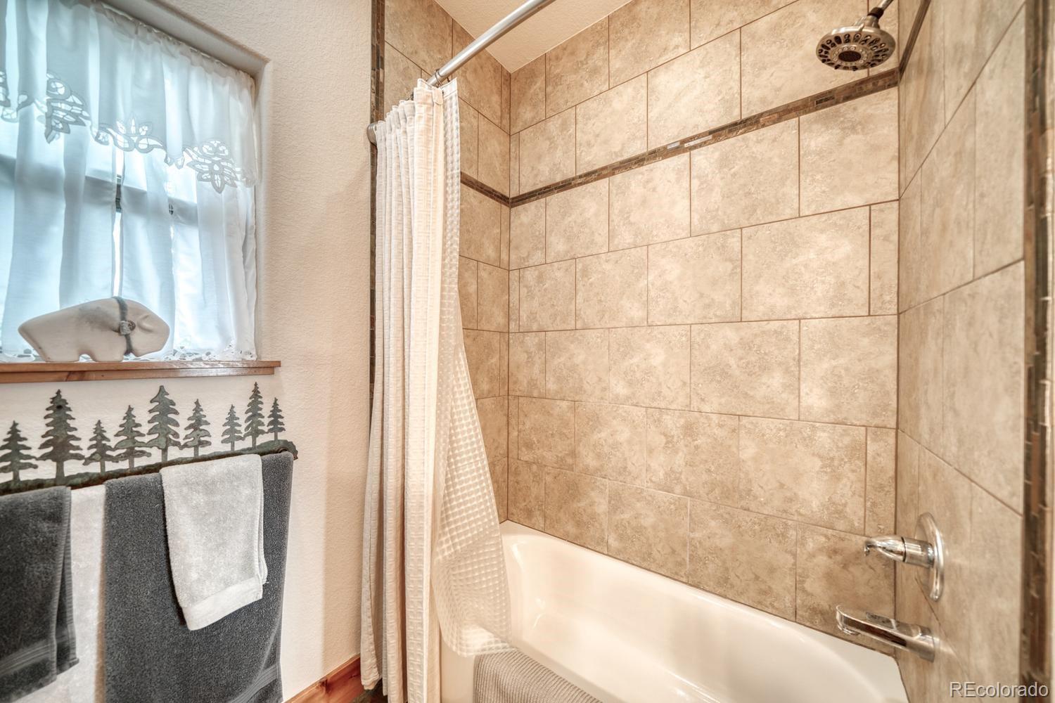 MLS Image #18 for 2977  high creek road,fairplay, Colorado