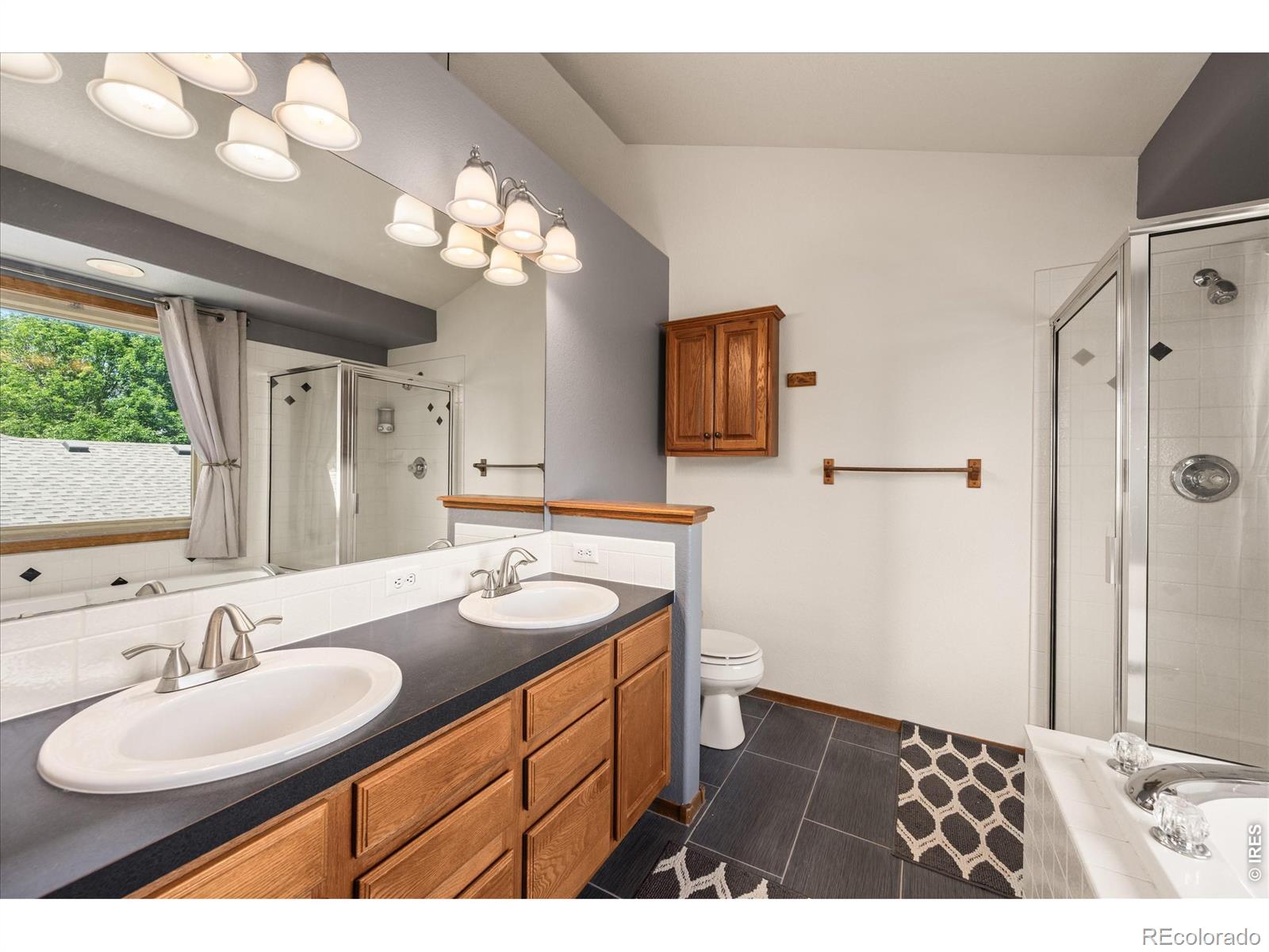 MLS Image #22 for 2488  anemonie court,loveland, Colorado