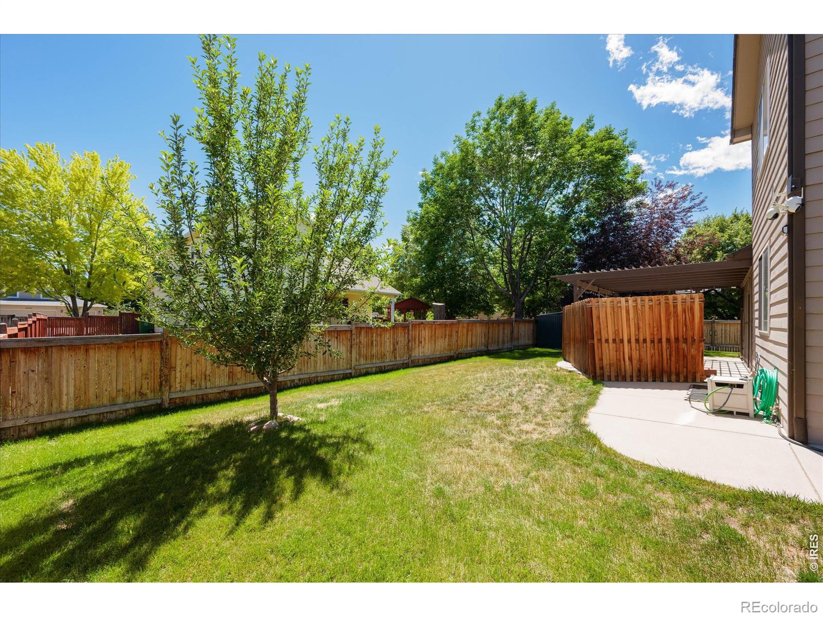 MLS Image #40 for 2488  anemonie court,loveland, Colorado