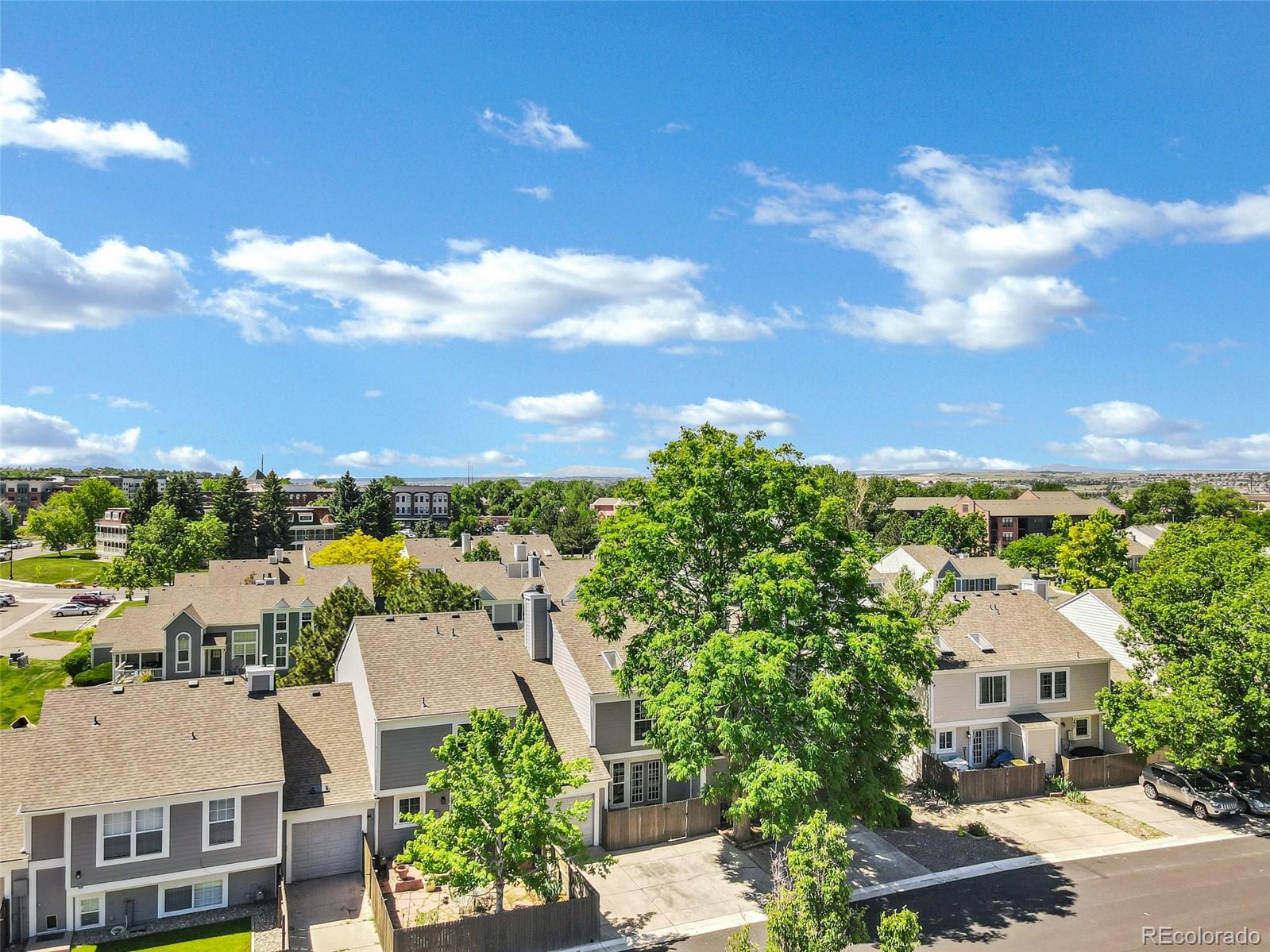 MLS Image #19 for 19706  applewood court,parker, Colorado