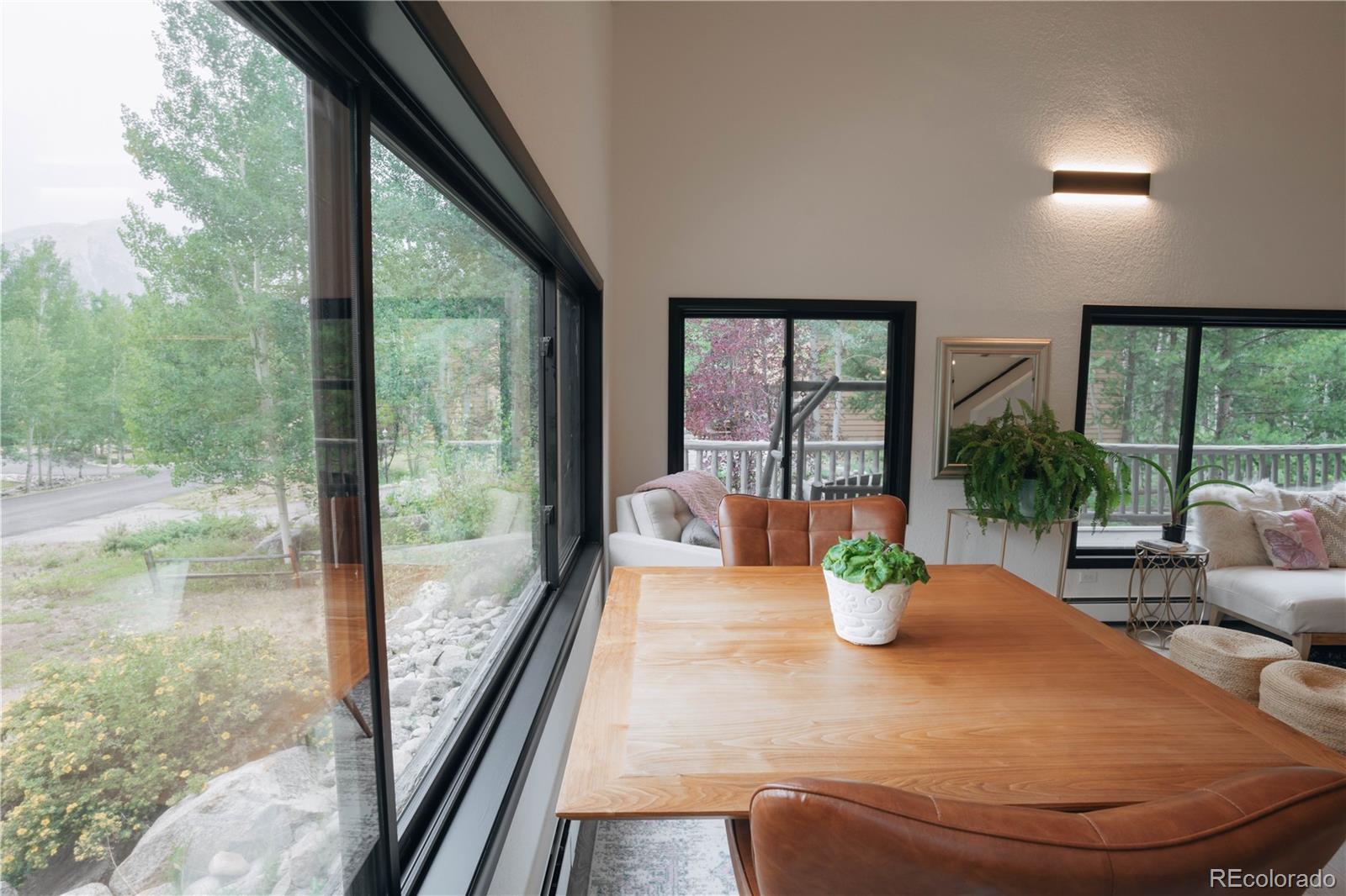 MLS Image #8 for 1709  red hawk road,silverthorne, Colorado