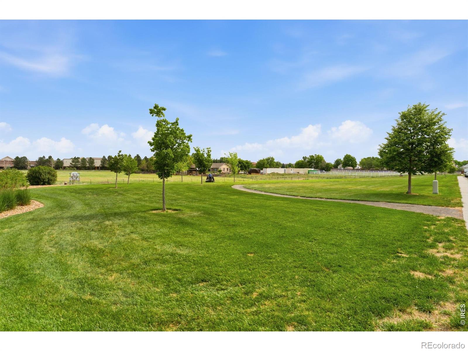 MLS Image #48 for 1530  walnut street,windsor, Colorado