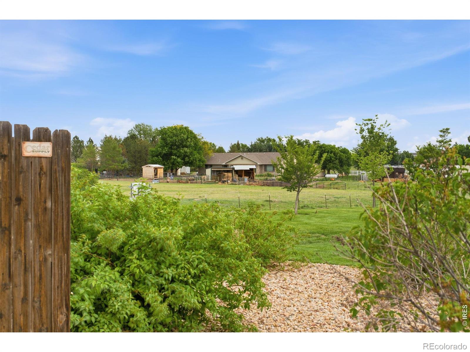 MLS Image #49 for 1530  walnut street,windsor, Colorado