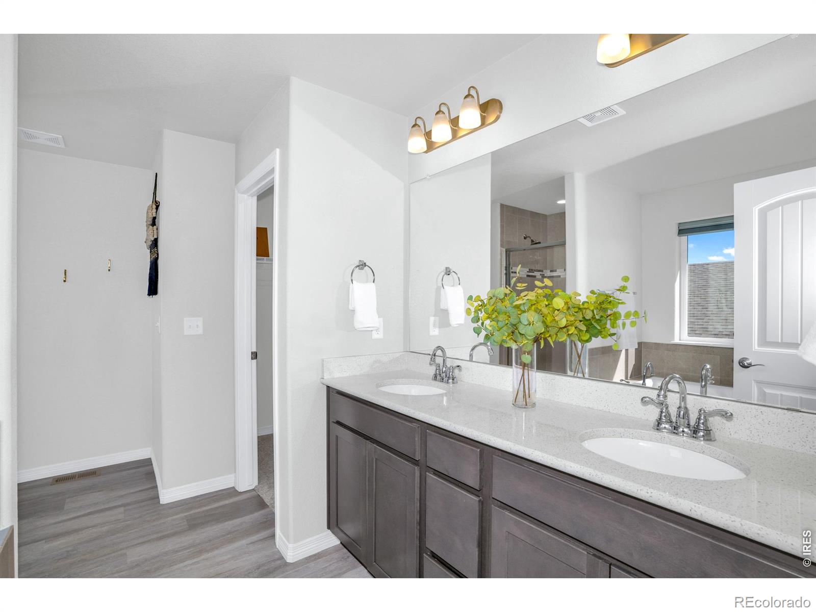 MLS Image #19 for 884  emerald lakes street,severance, Colorado