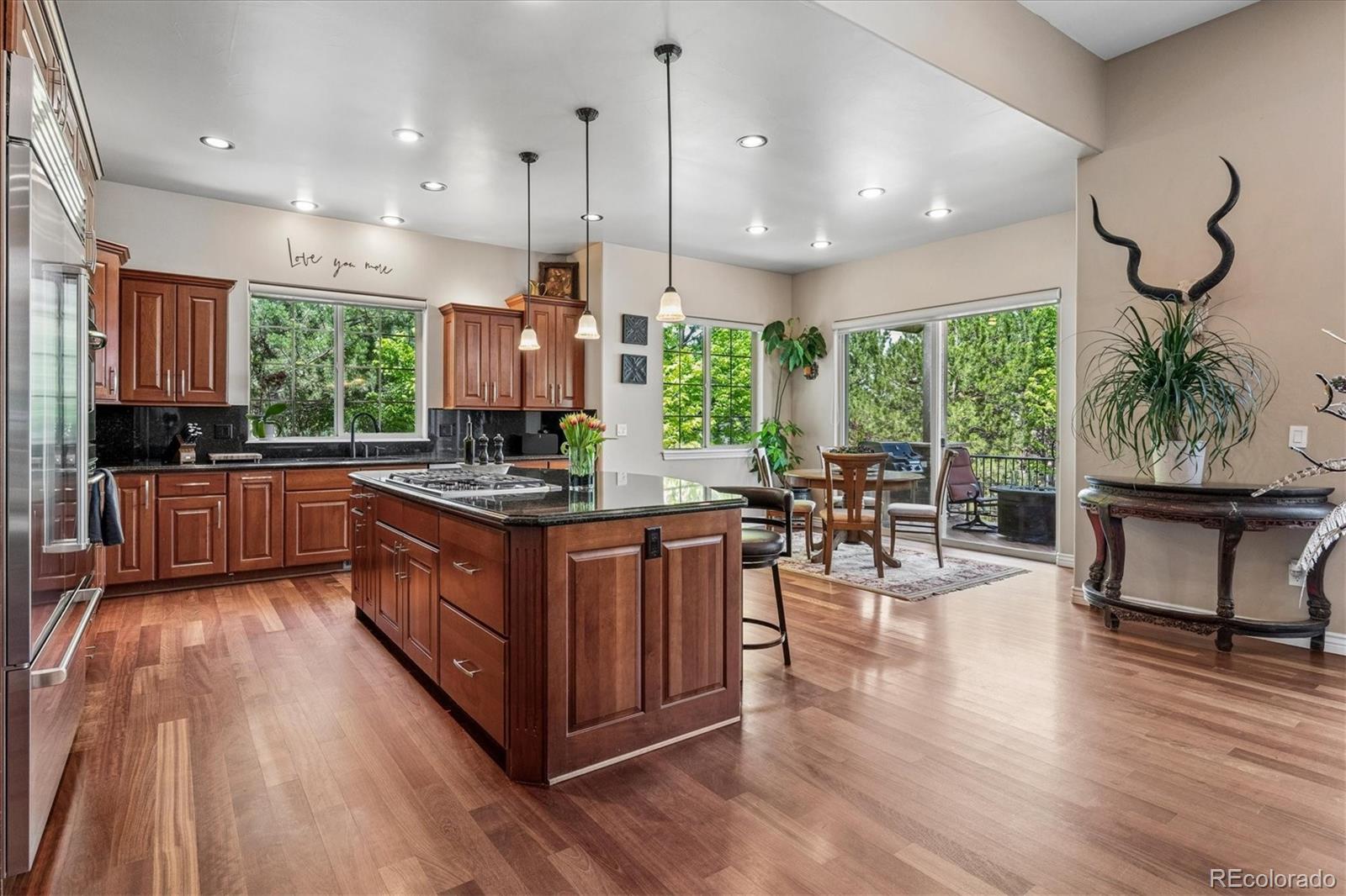 MLS Image #15 for 5829  amber ridge drive,castle rock, Colorado