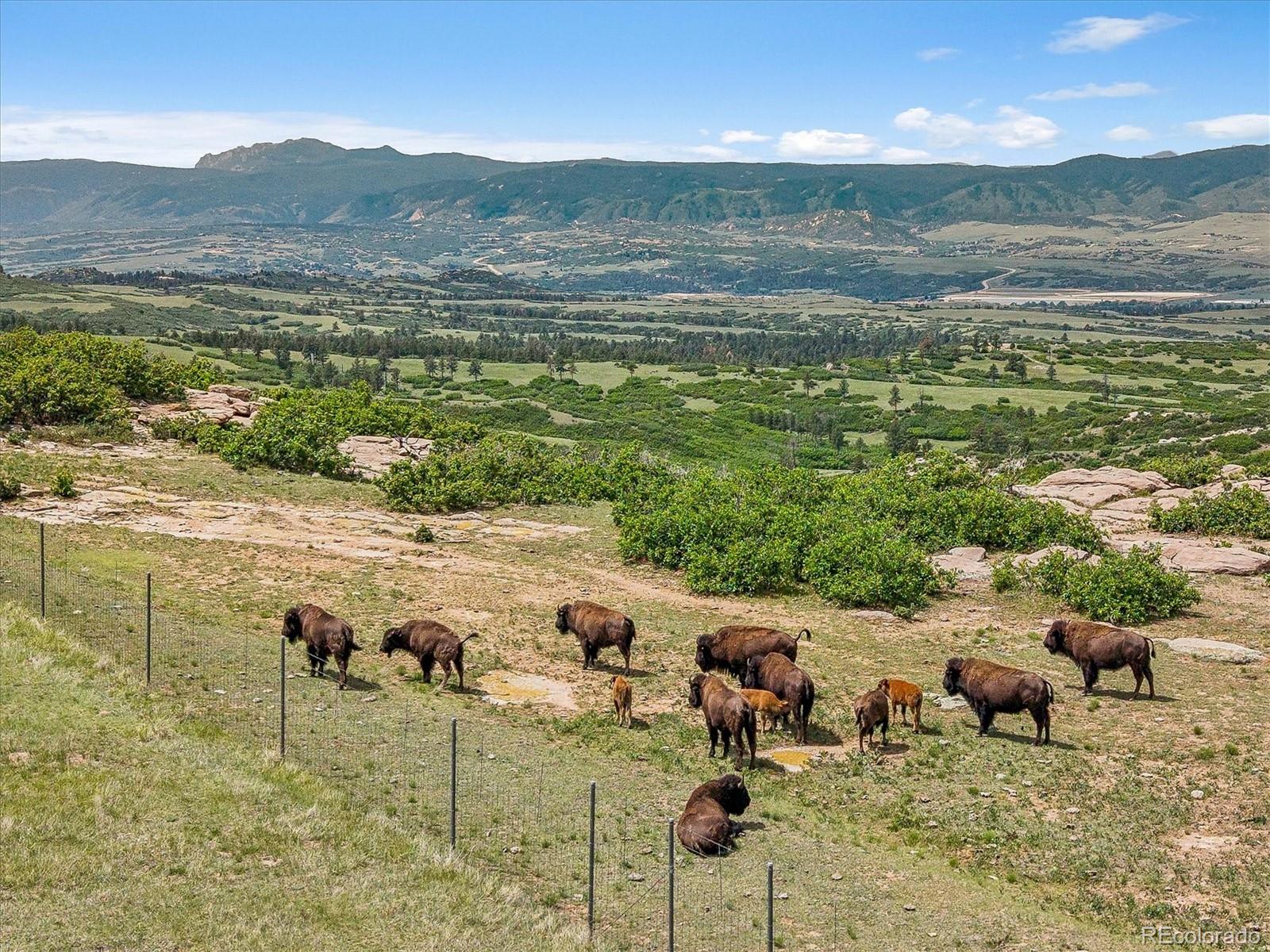 MLS Image #48 for 5829  amber ridge drive,castle rock, Colorado