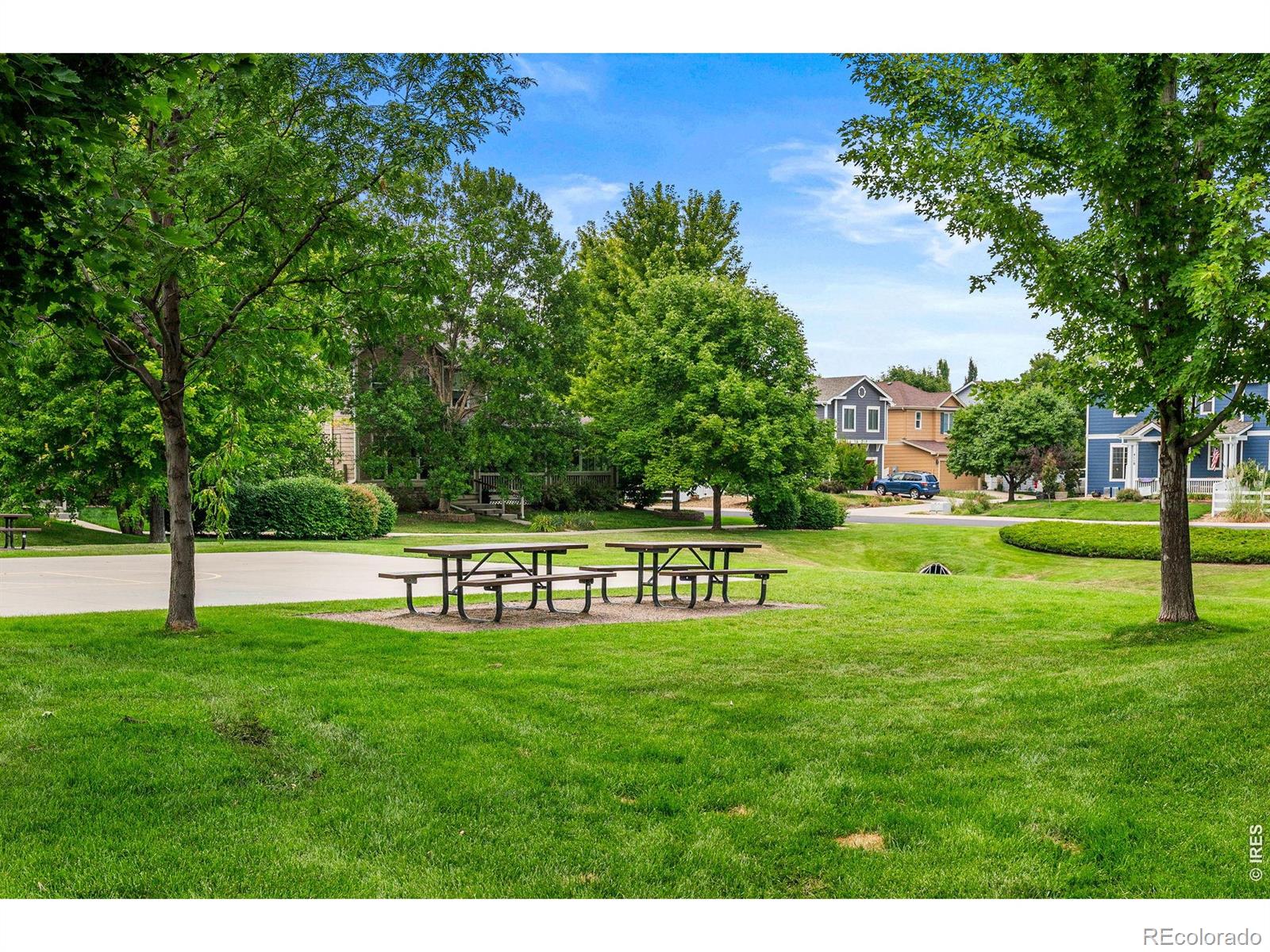 MLS Image #45 for 4012  ravenna place,longmont, Colorado
