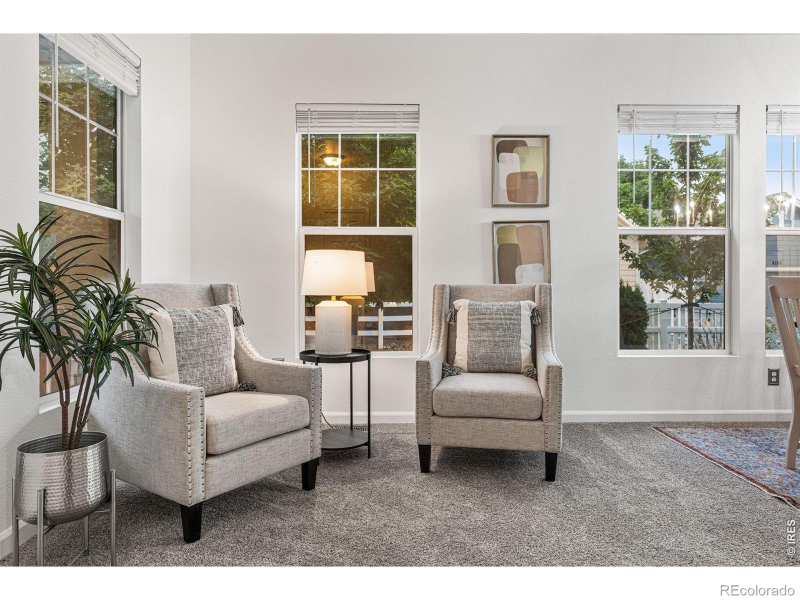 MLS Image #5 for 4012  ravenna place,longmont, Colorado