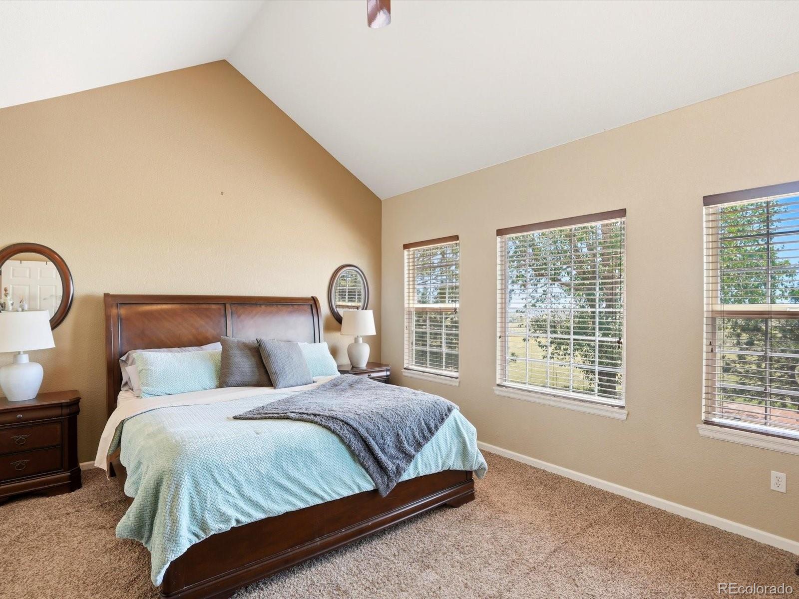 MLS Image #9 for 740  green gables way,bennett, Colorado