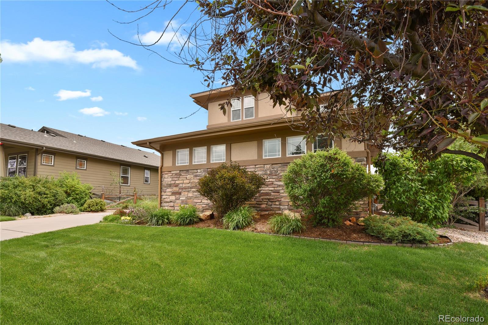 MLS Image #1 for 6651  big leaf lane,colorado springs, Colorado