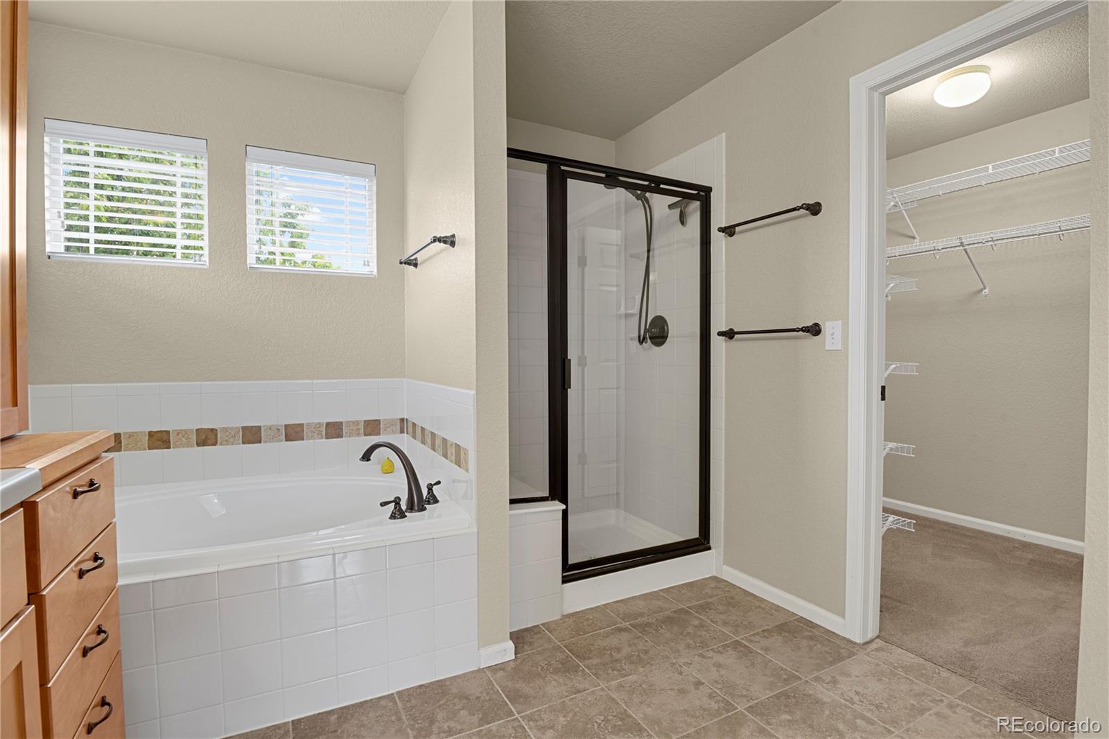 MLS Image #23 for 6651  big leaf lane,colorado springs, Colorado