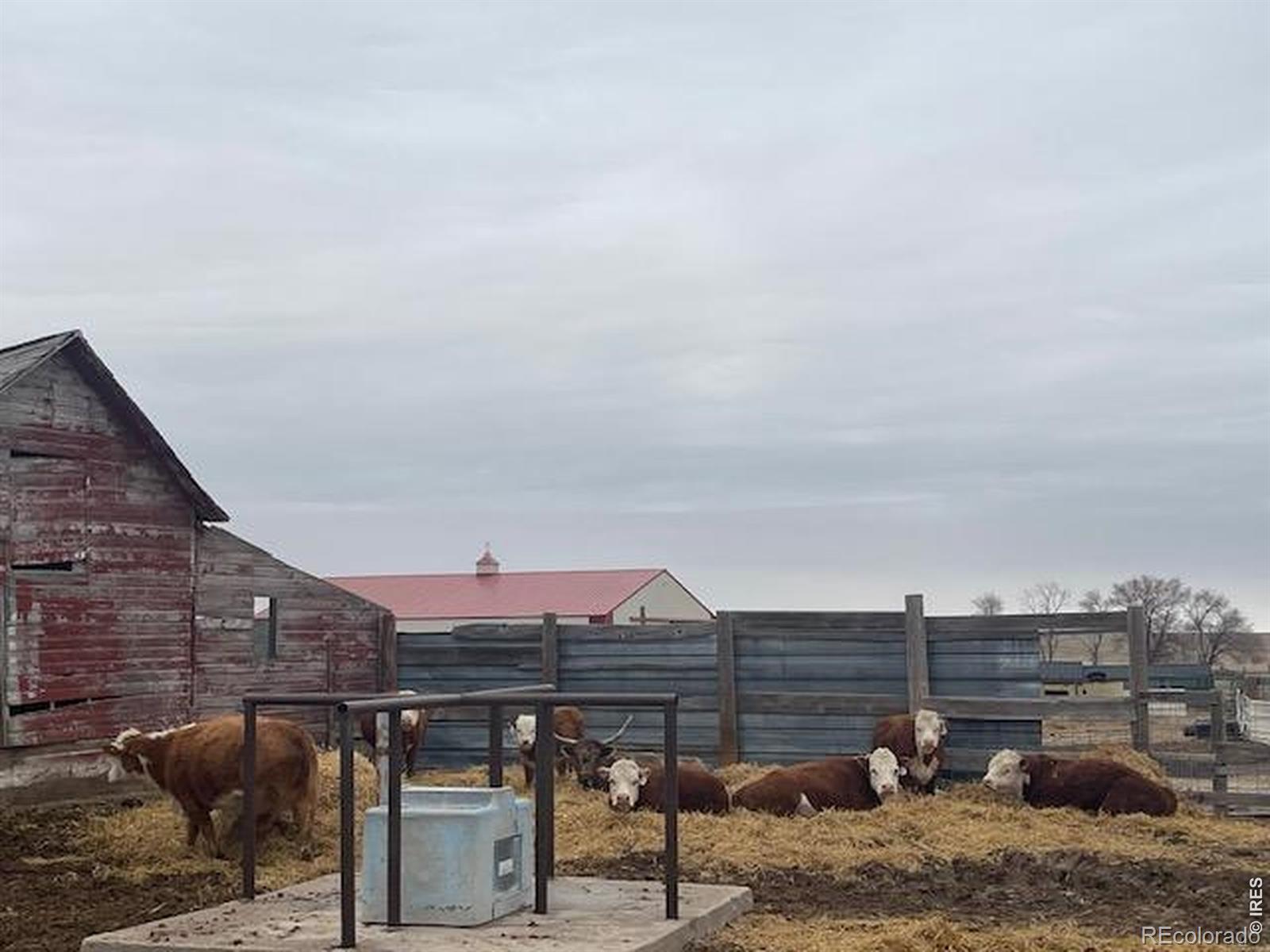 MLS Image #46 for 39281  county road 38 ,fleming, Colorado