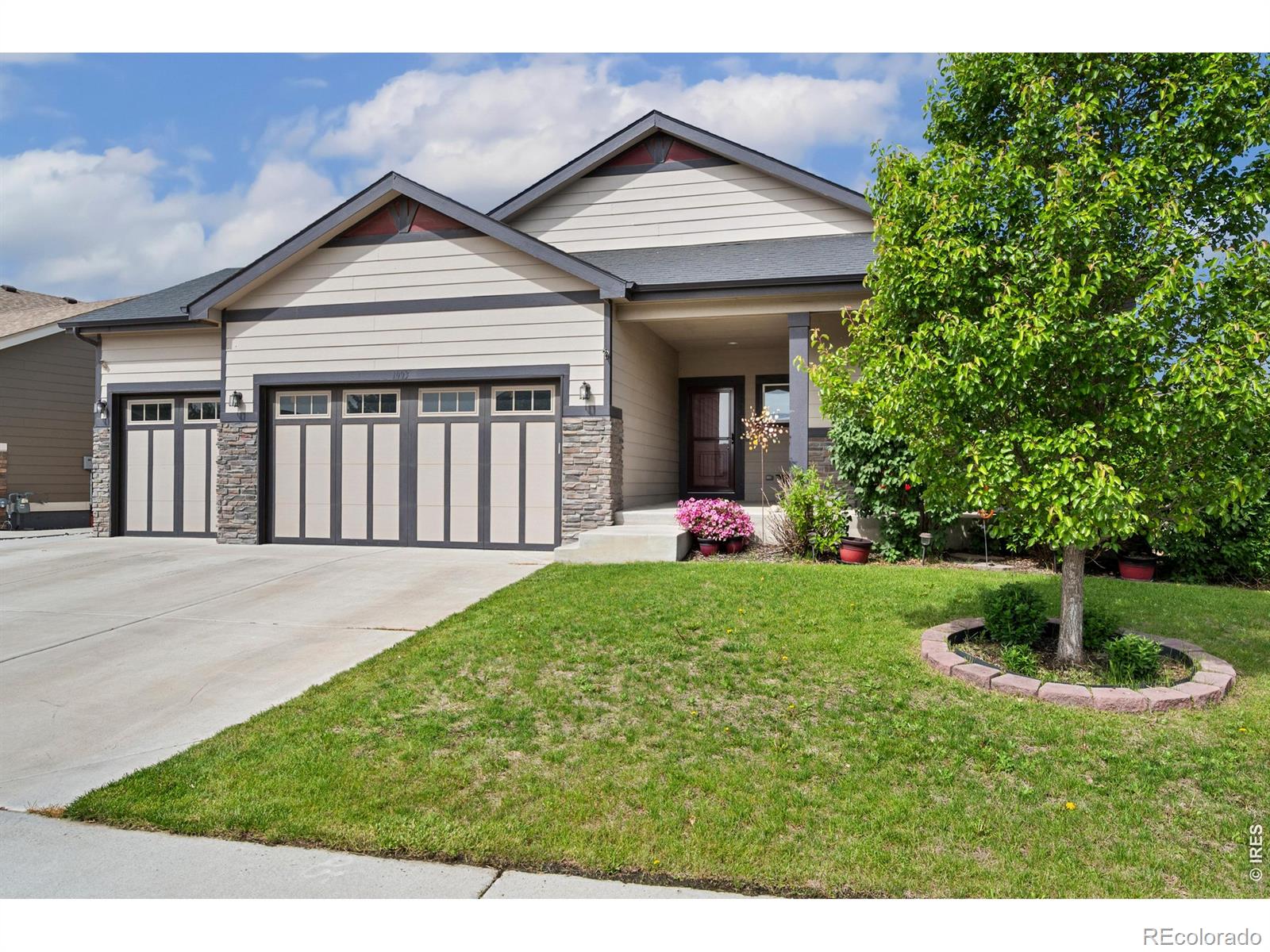 MLS Image #4 for 1003  settlers drive,milliken, Colorado