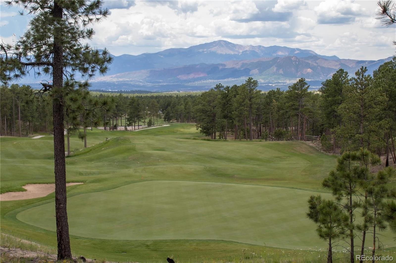 MLS Image #34 for 12970  cupcake heights,colorado springs, Colorado