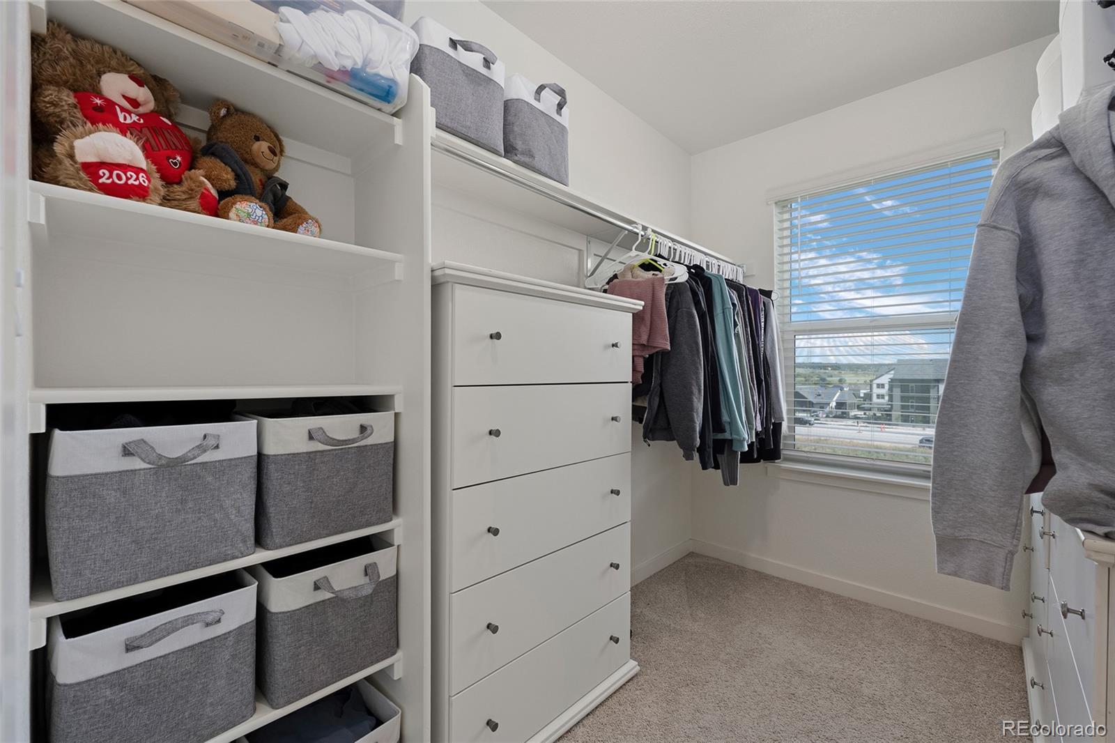 MLS Image #27 for 18383  prince hill circle,parker, Colorado