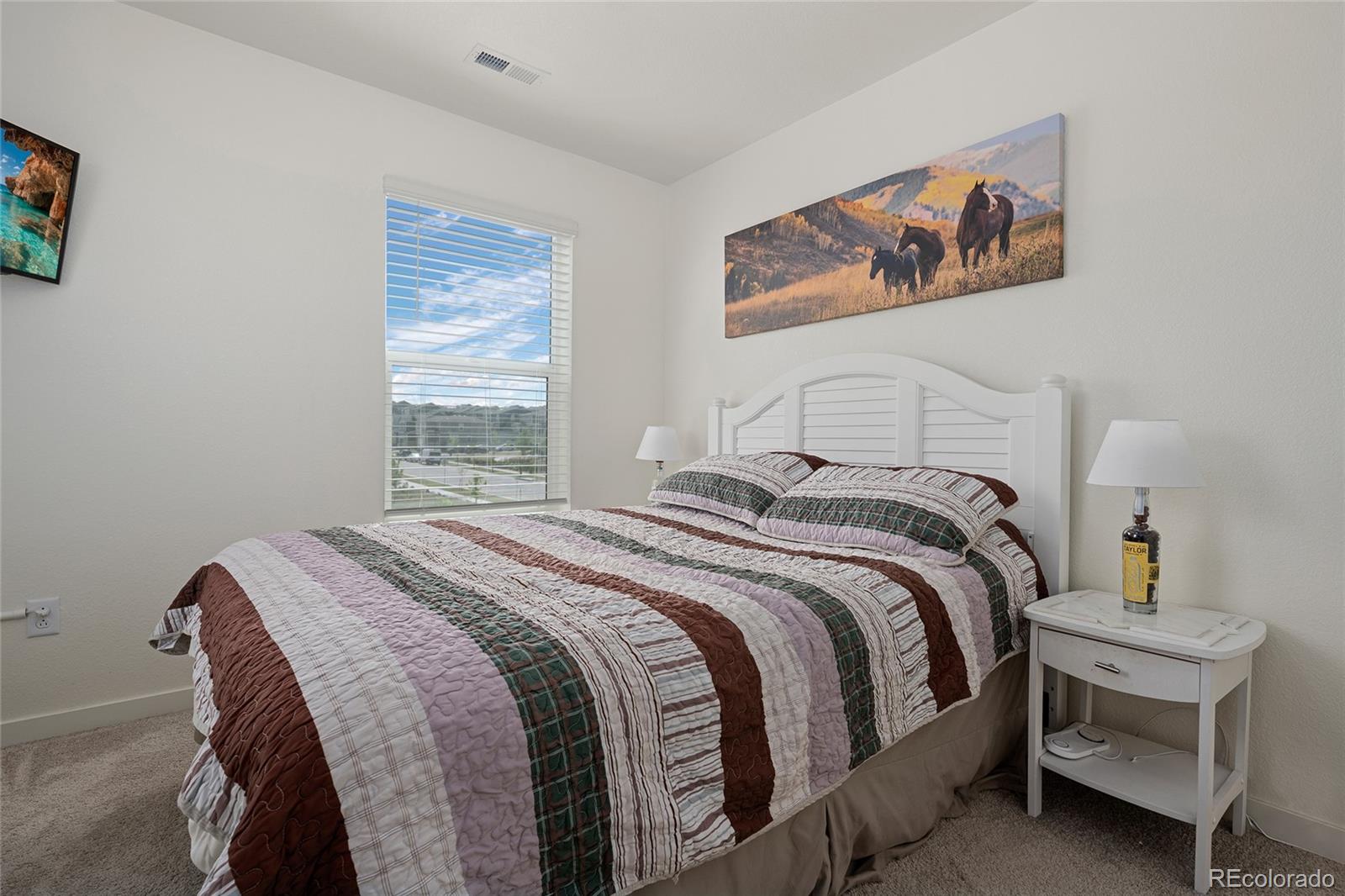 MLS Image #28 for 18383  prince hill circle,parker, Colorado