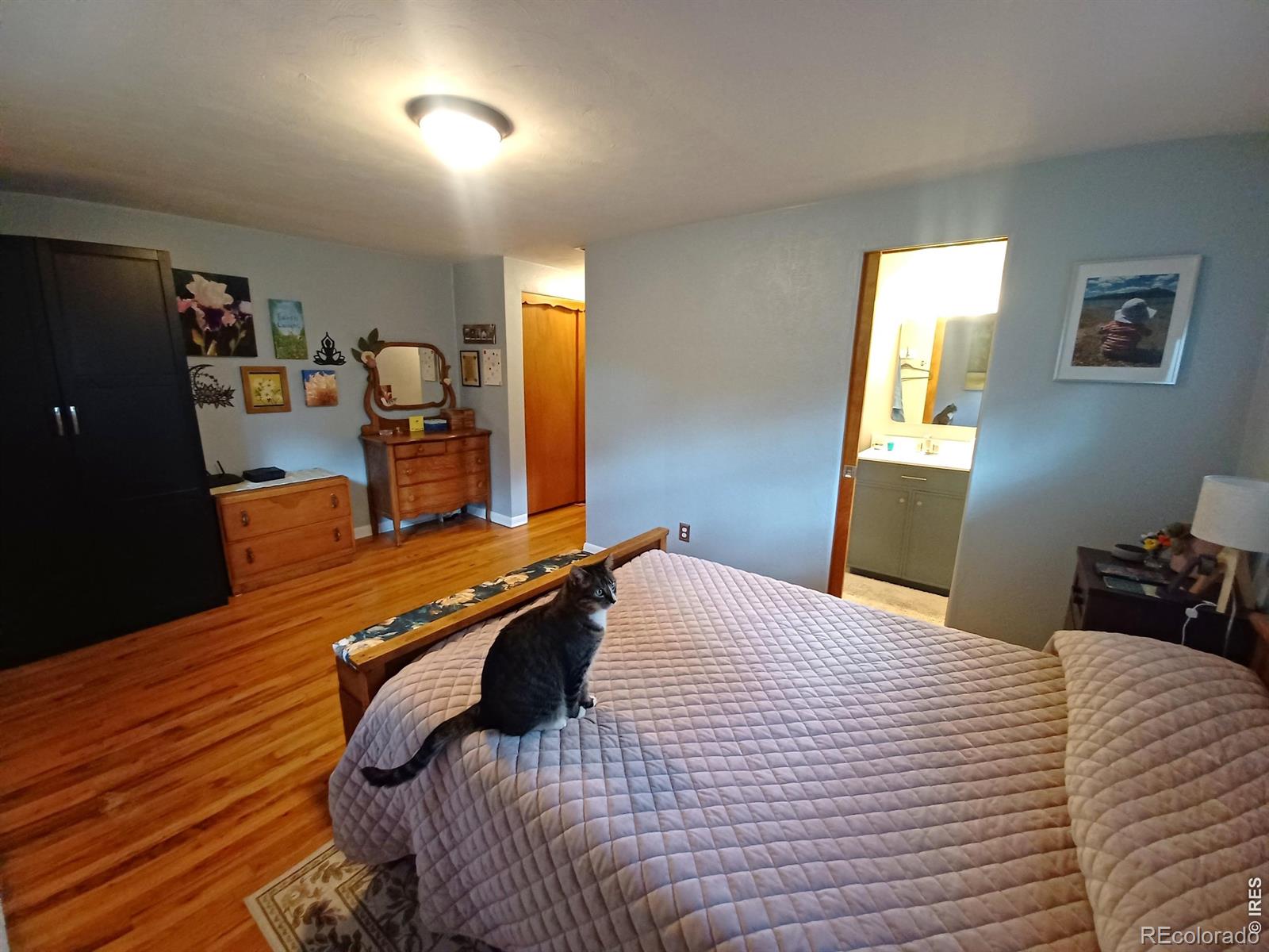 MLS Image #10 for 1024  collyer street,longmont, Colorado