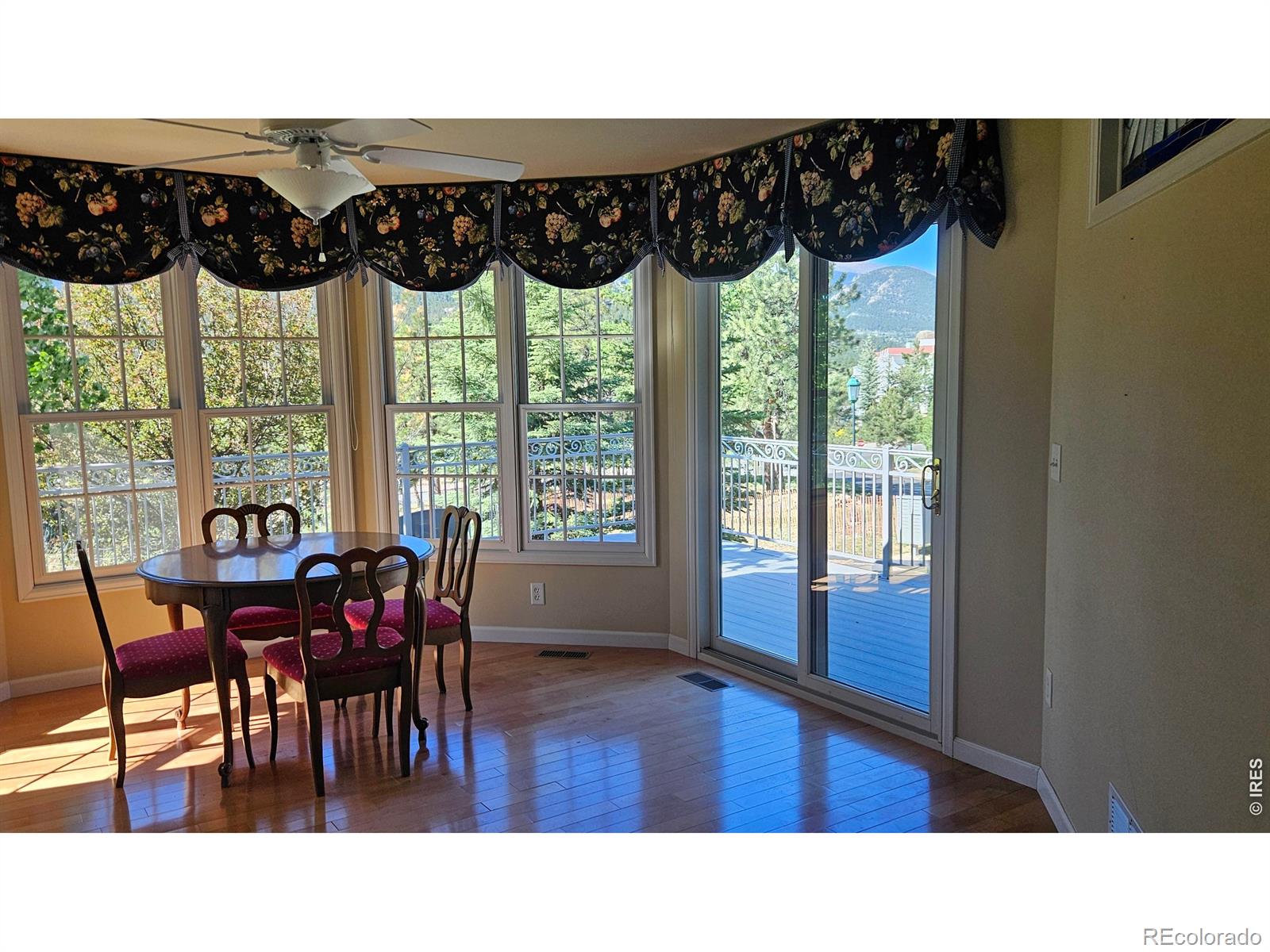 MLS Image #11 for 610  findley court,estes park, Colorado