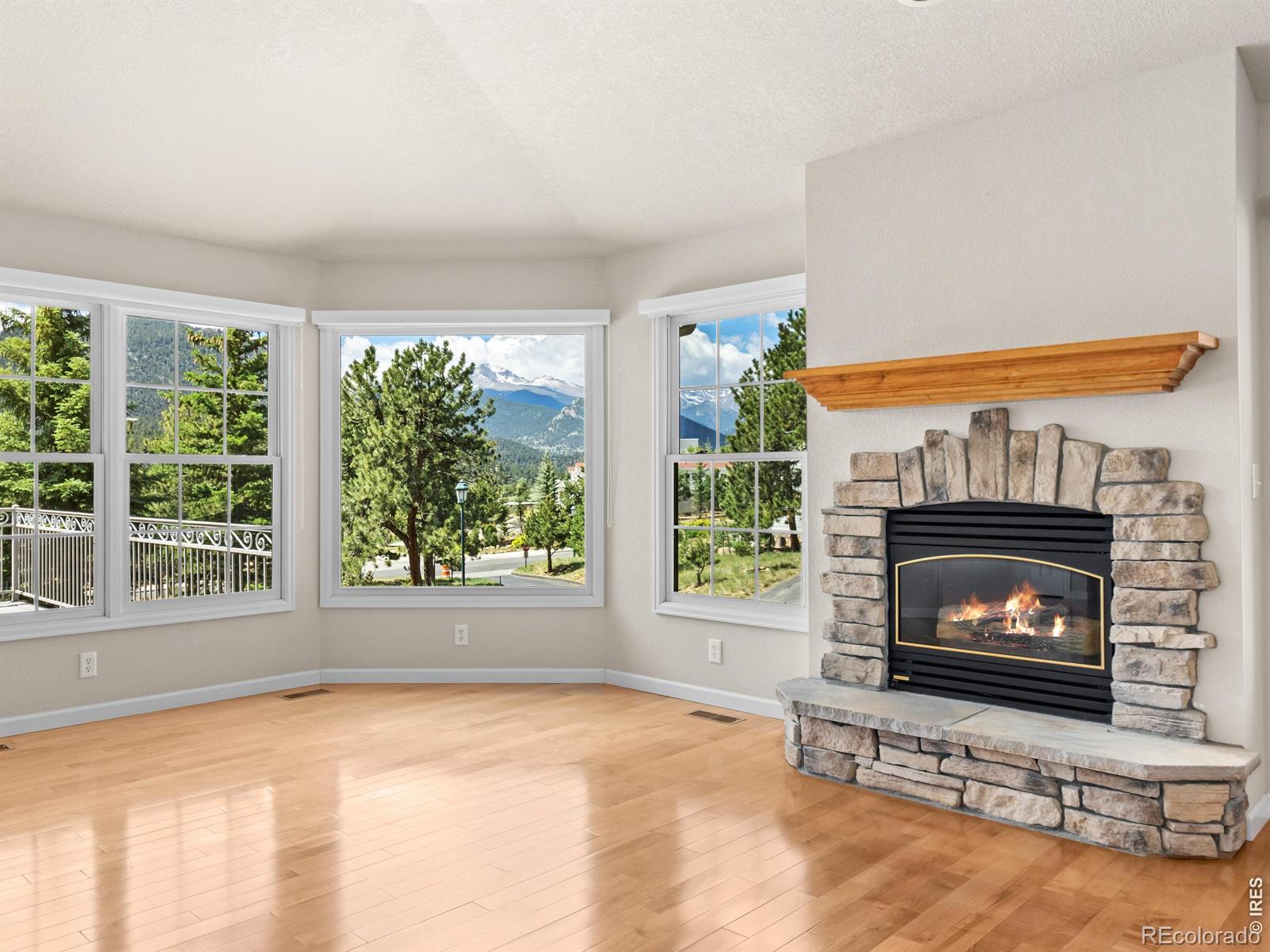 MLS Image #16 for 610  findley court,estes park, Colorado