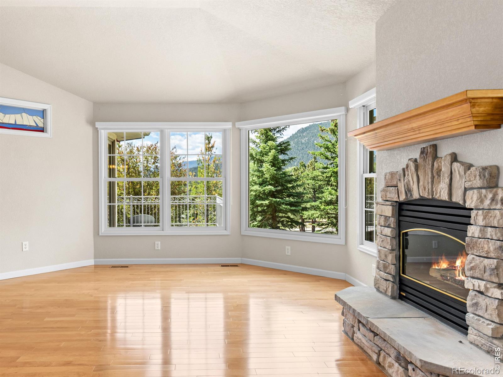 MLS Image #17 for 610  findley court,estes park, Colorado
