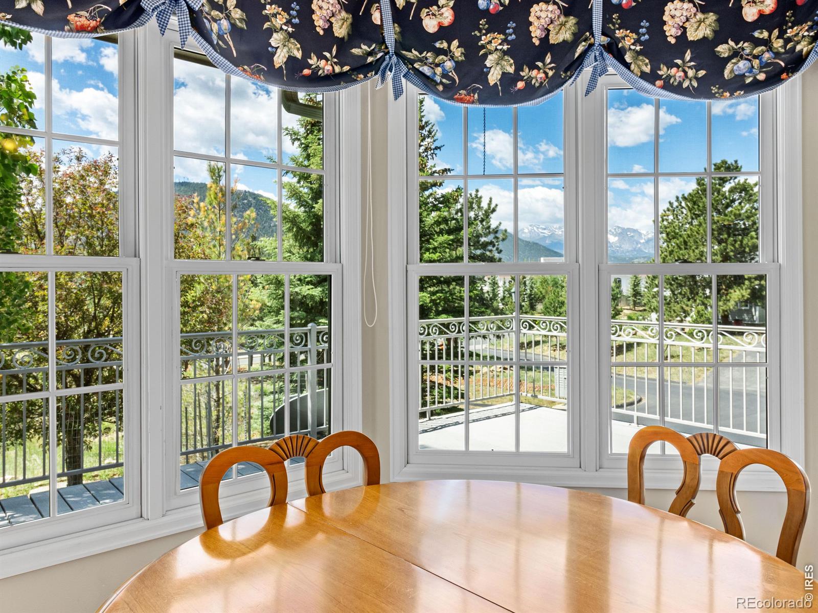 MLS Image #22 for 610  findley court,estes park, Colorado