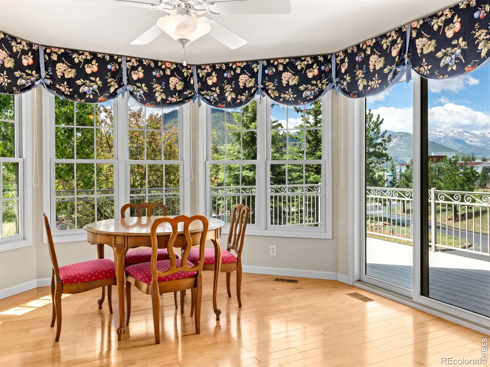 MLS Image #23 for 610  findley court,estes park, Colorado