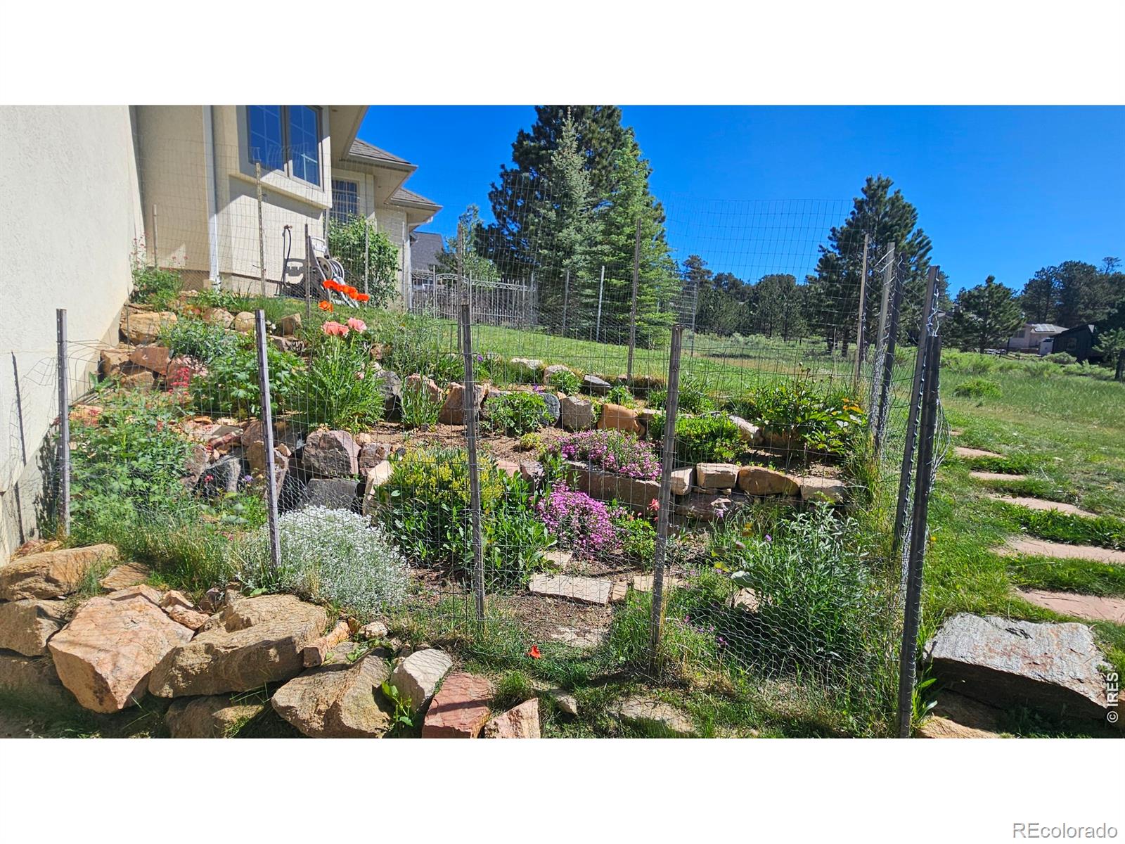 MLS Image #3 for 610  findley court,estes park, Colorado