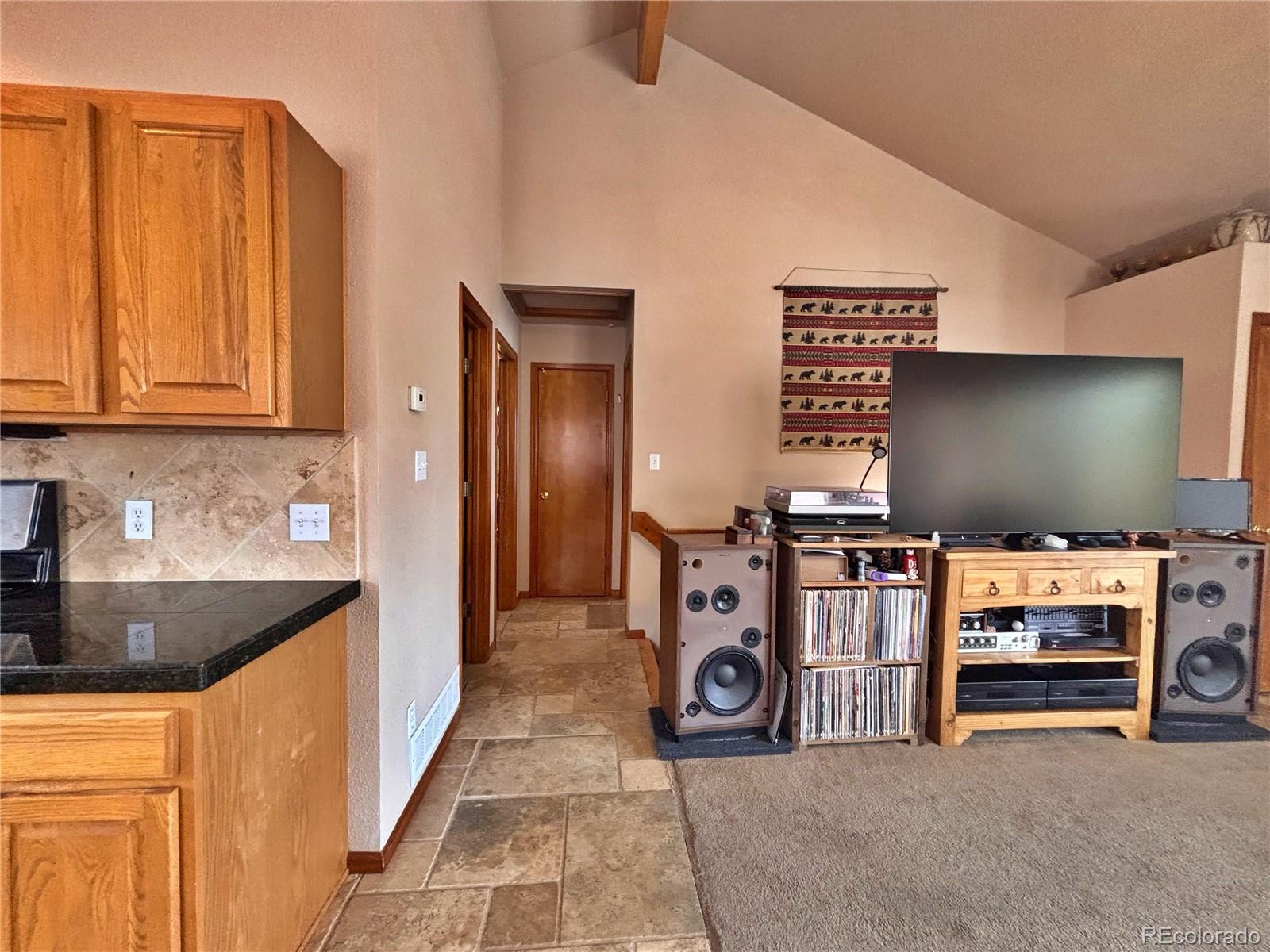 MLS Image #11 for 17  silver springs road,bailey, Colorado