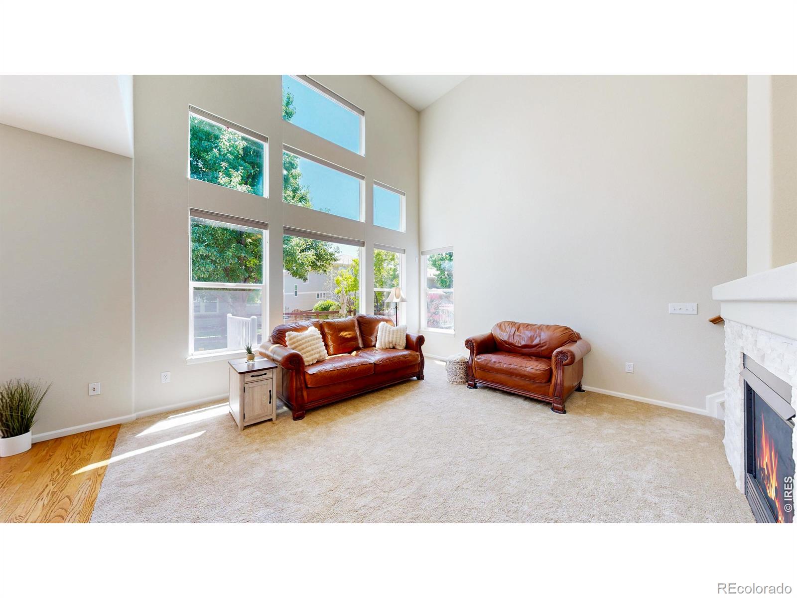 MLS Image #5 for 3715  eclipse lane,fort collins, Colorado