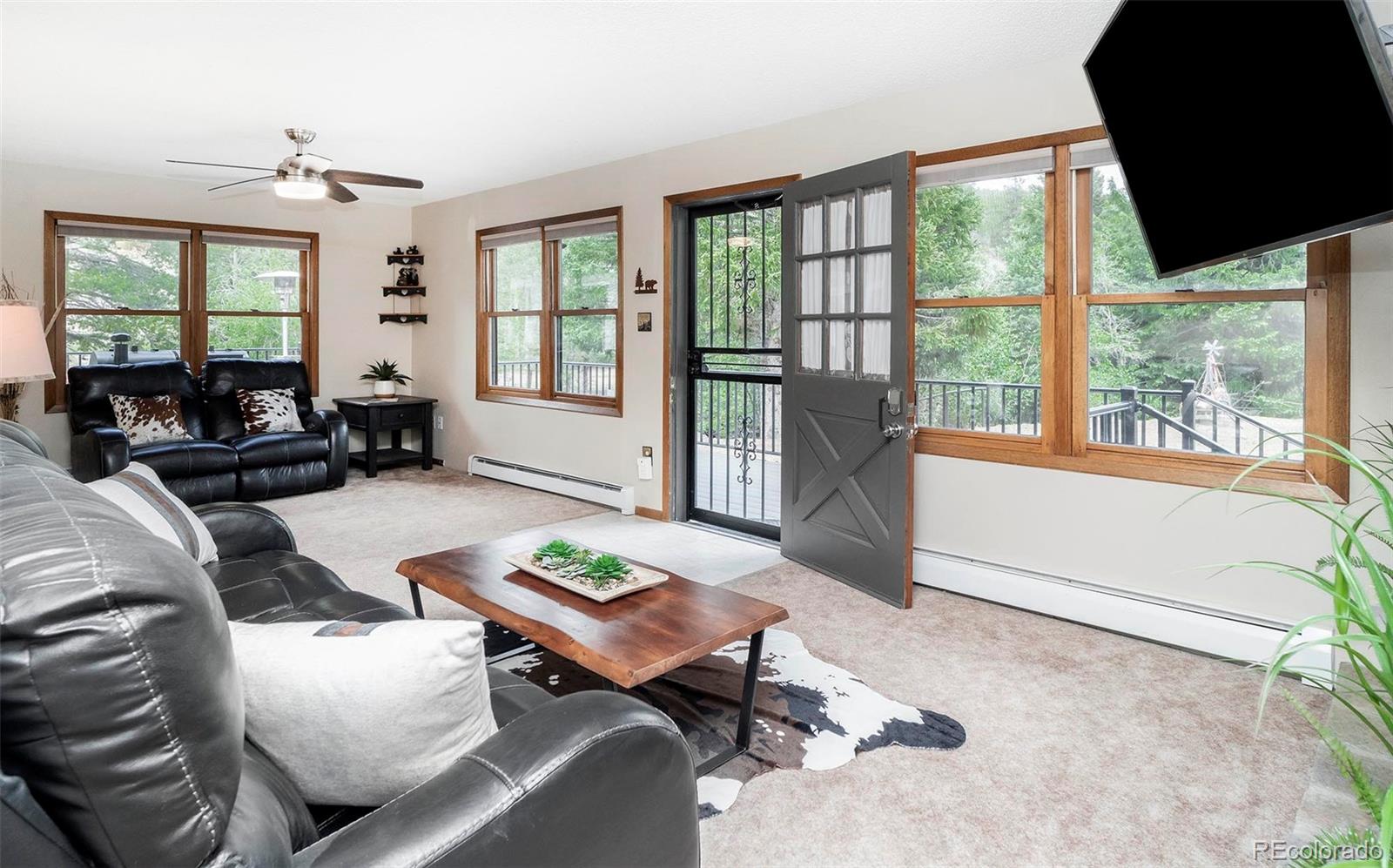 MLS Image #11 for 1064  apex valley road,black hawk, Colorado