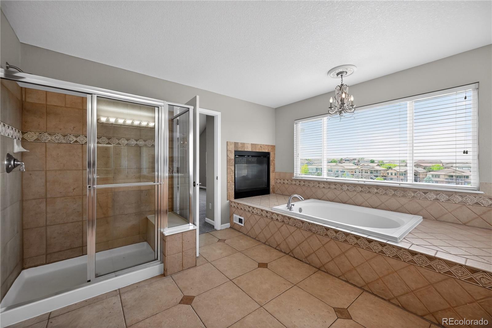 MLS Image #27 for 22980  hope dale avenue,parker, Colorado