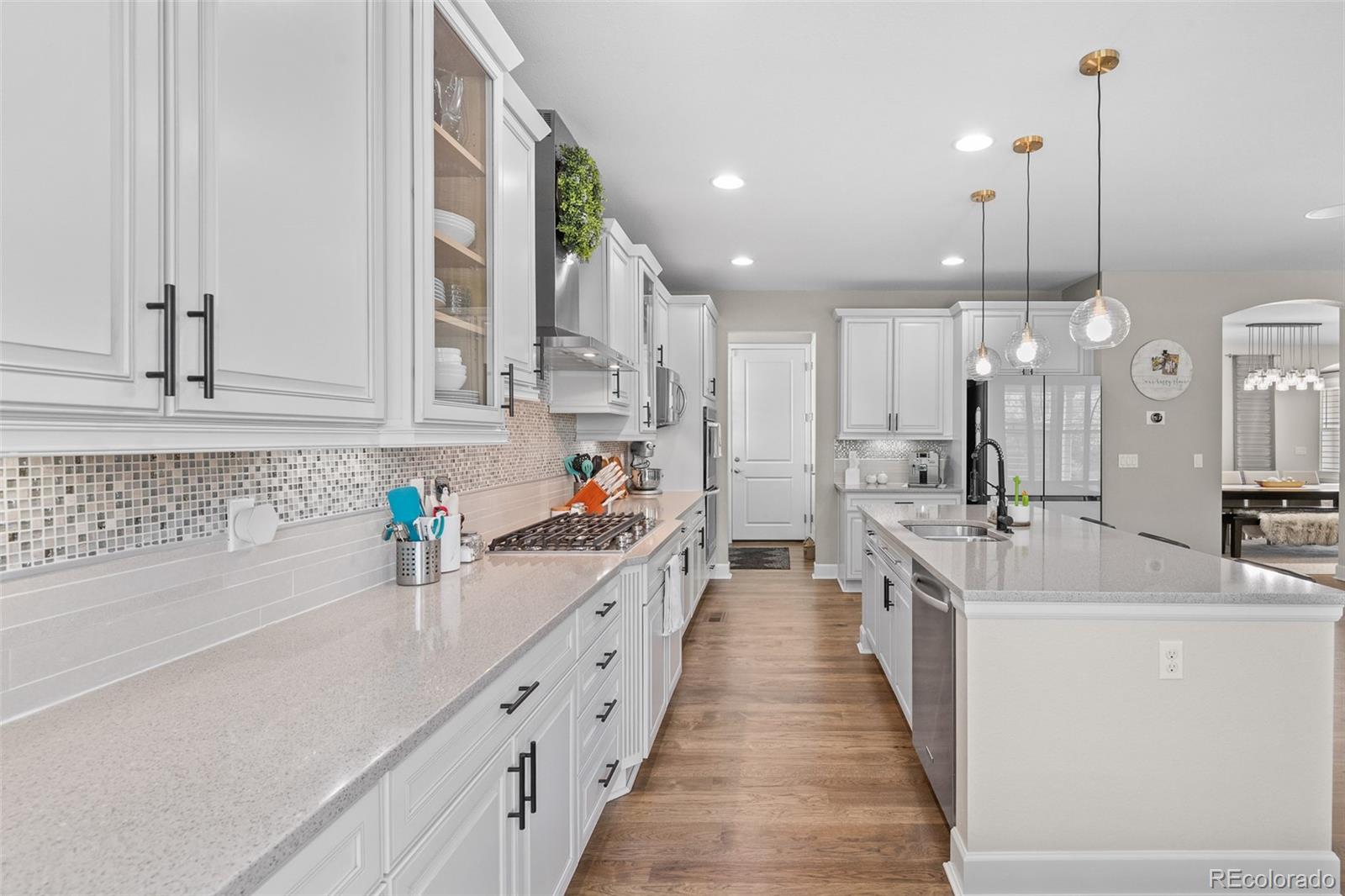 MLS Image #21 for 4133  zodiac place,castle rock, Colorado