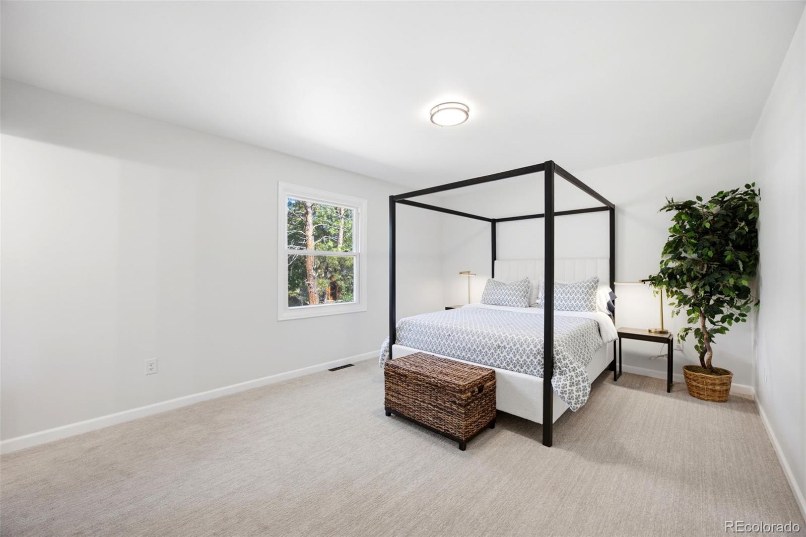 MLS Image #13 for 6134 n beckwourth court,parker, Colorado
