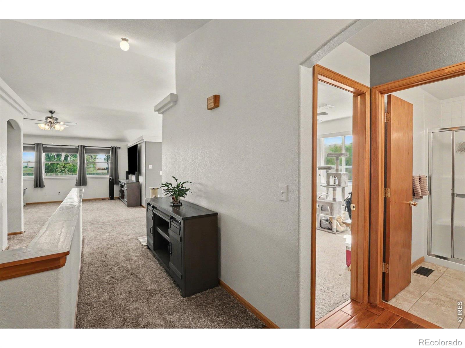 MLS Image #12 for 620 e 3rd street,eaton, Colorado
