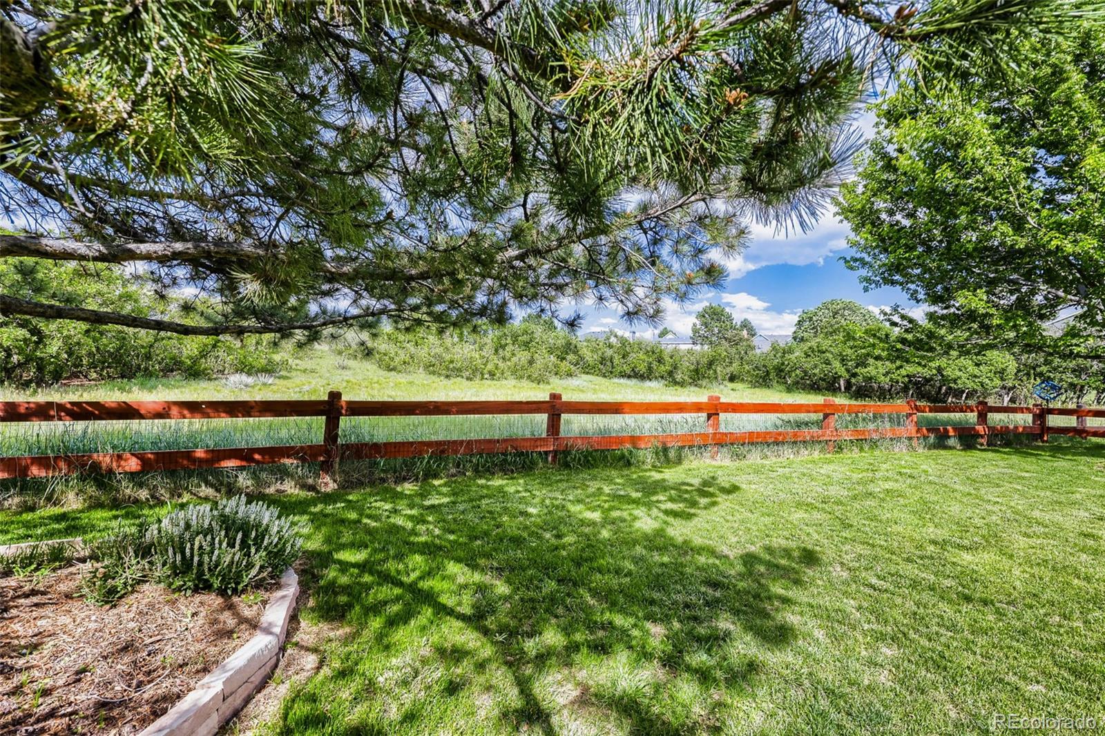 MLS Image #3 for 7184  campden place,castle pines, Colorado