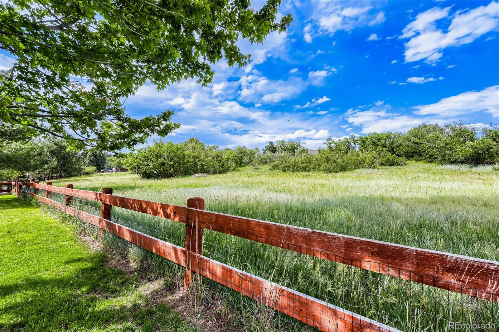 MLS Image #30 for 7184  campden place,castle pines, Colorado