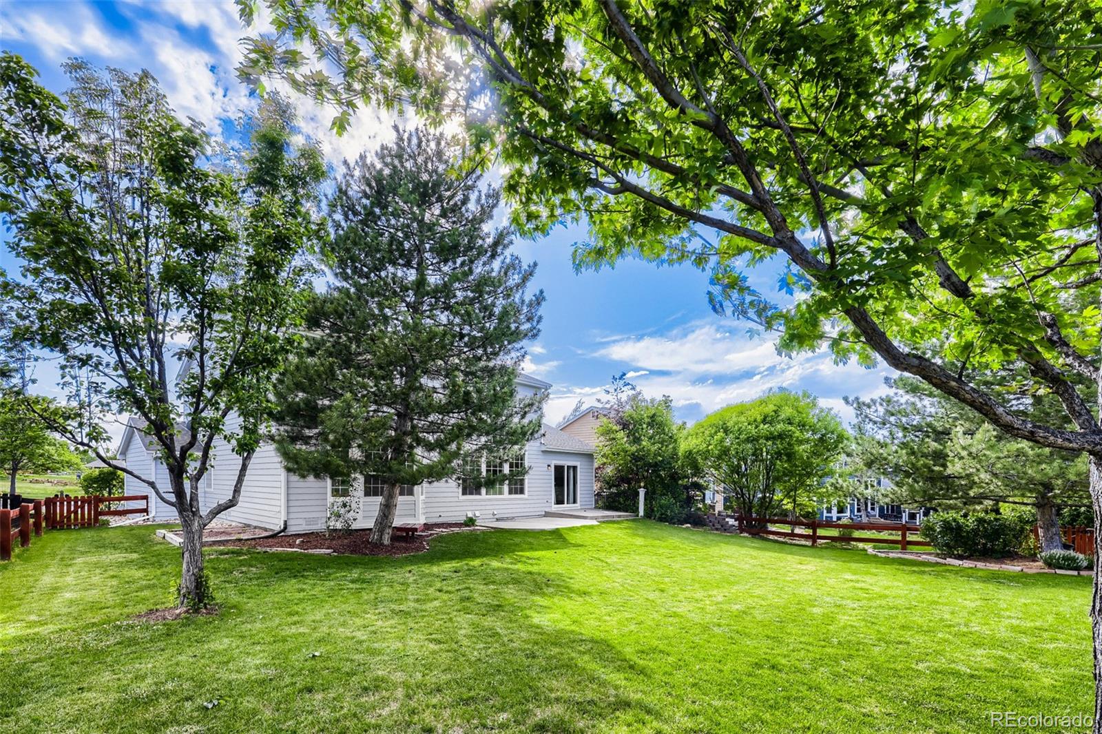 MLS Image #4 for 7184  campden place,castle pines, Colorado