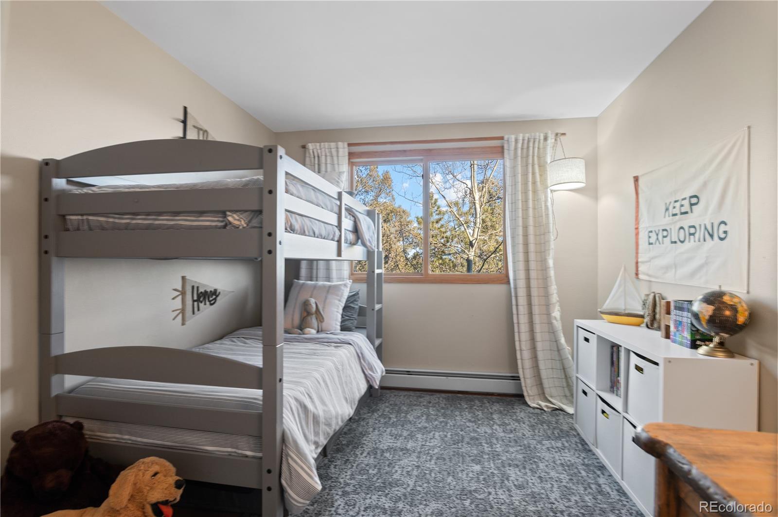 MLS Image #19 for 31207  kings valley drive,conifer, Colorado