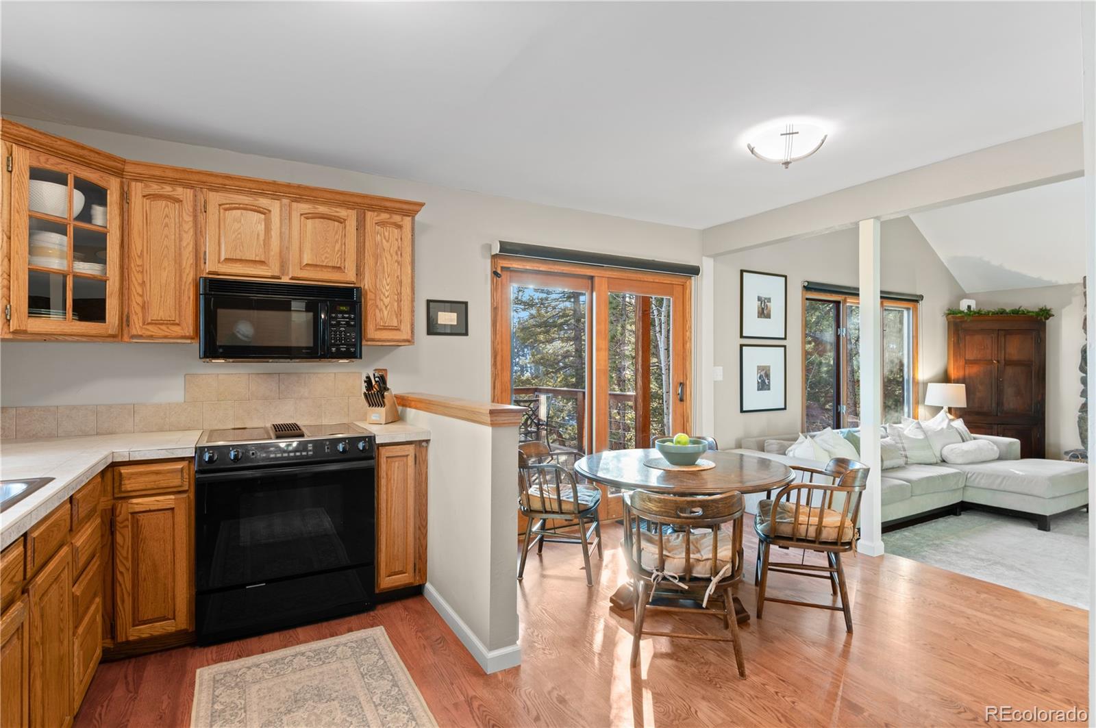 MLS Image #9 for 31207  kings valley drive,conifer, Colorado