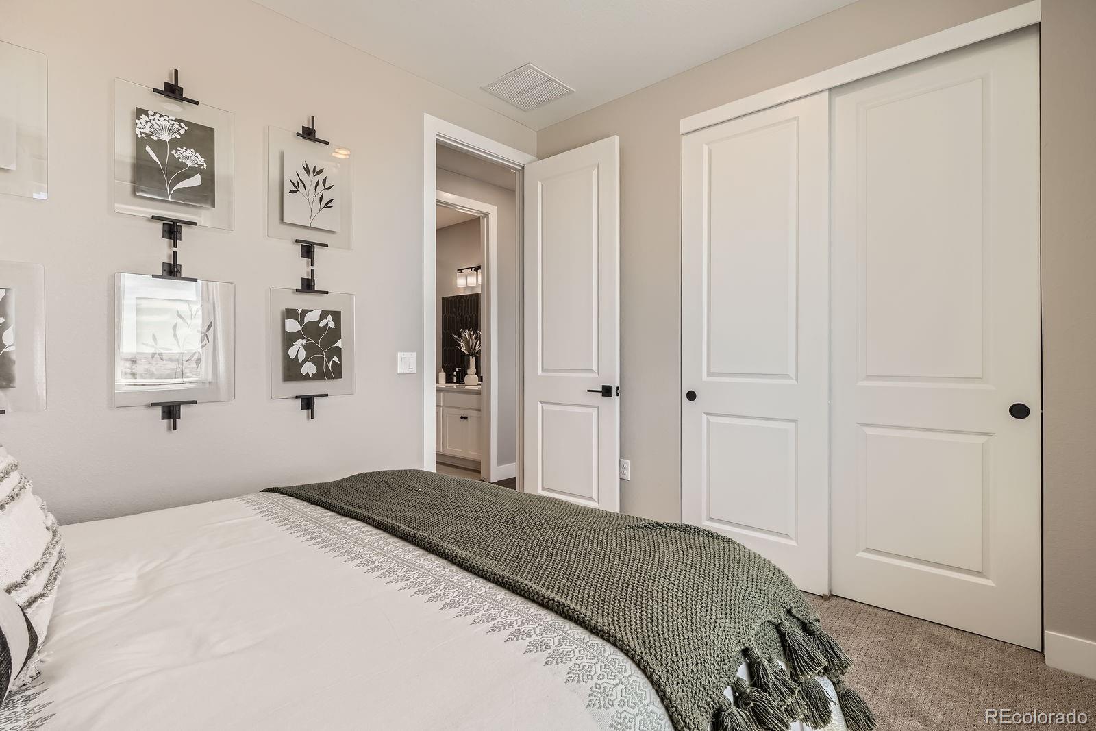 MLS Image #32 for 13401  finnhorse street,parker, Colorado