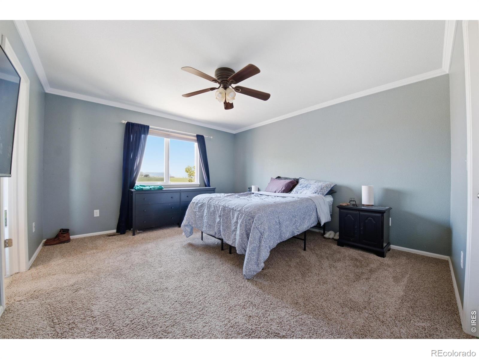 MLS Image #13 for 16001  ginger avenue,mead, Colorado