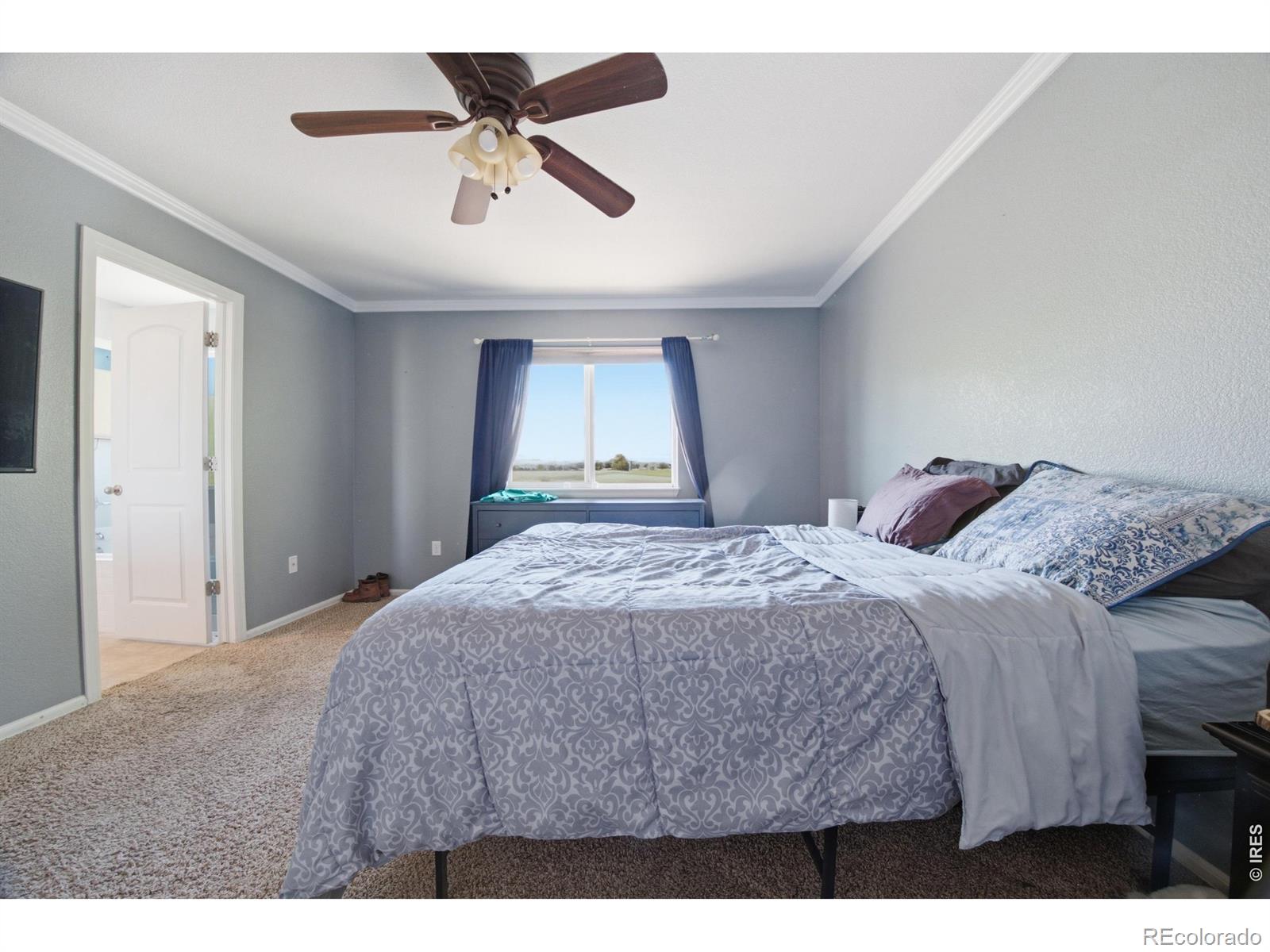 MLS Image #14 for 16001  ginger avenue,mead, Colorado