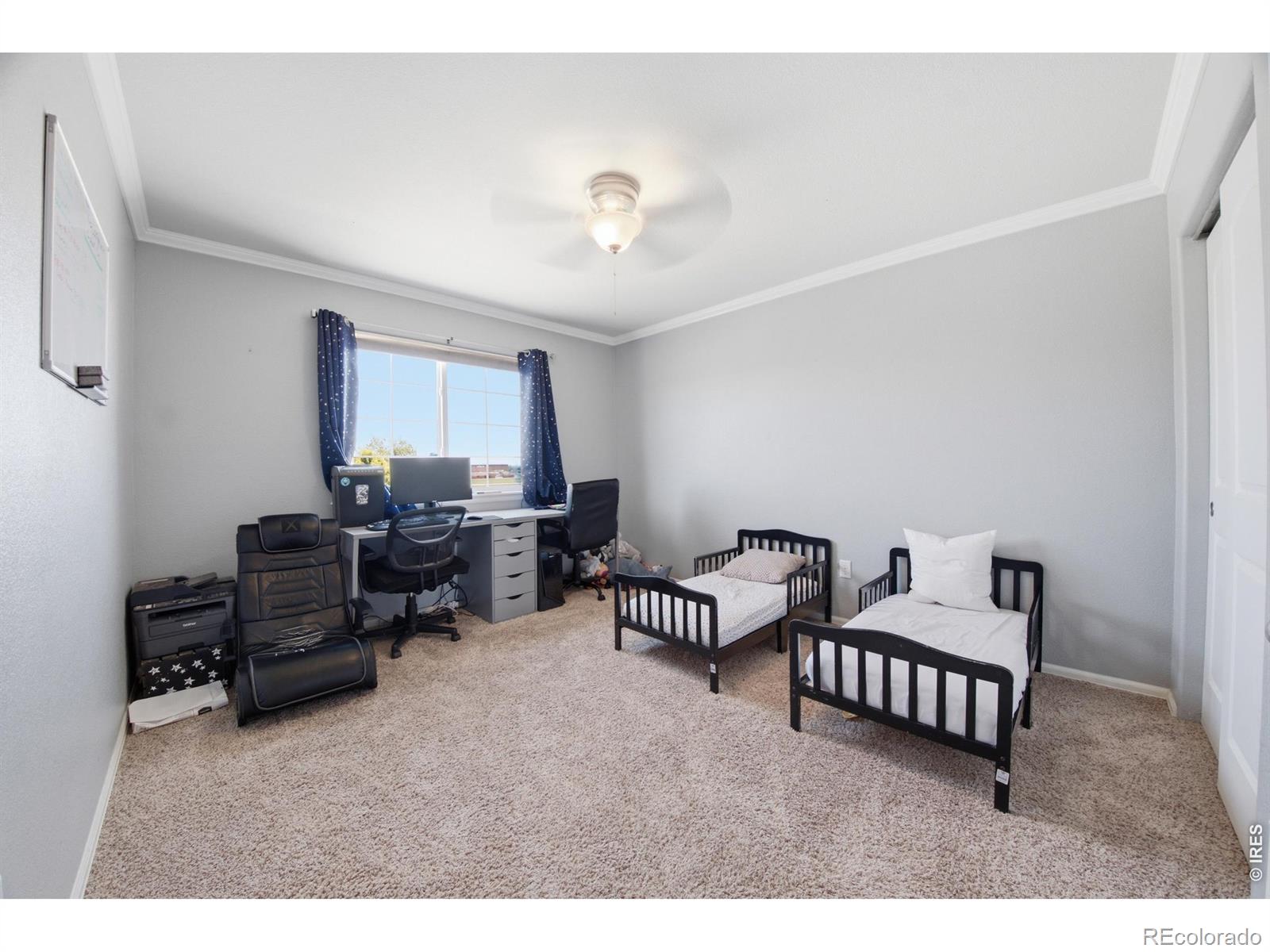 MLS Image #19 for 16001  ginger avenue,mead, Colorado