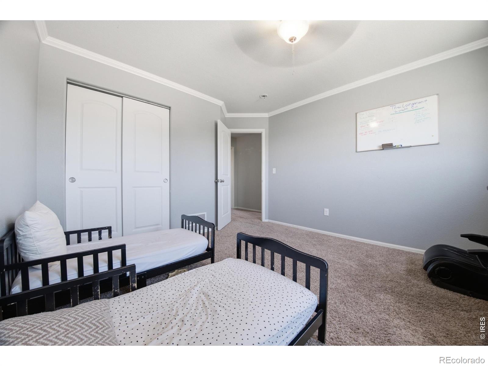 MLS Image #20 for 16001  ginger avenue,mead, Colorado