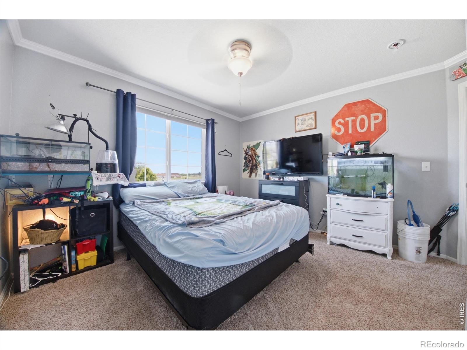 MLS Image #21 for 16001  ginger avenue,mead, Colorado