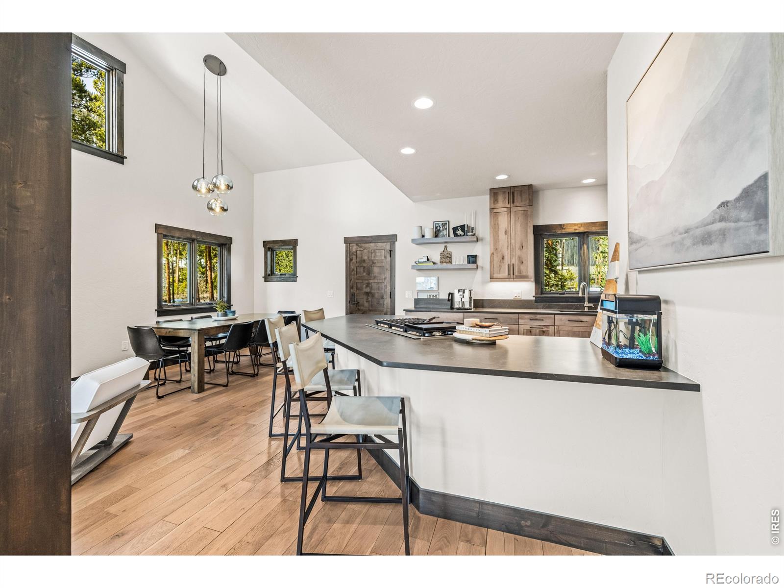 MLS Image #15 for 147  lupine lane,frisco, Colorado