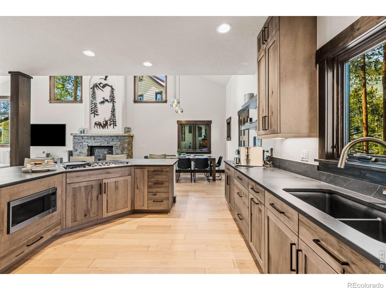 MLS Image #4 for 147  lupine lane,frisco, Colorado